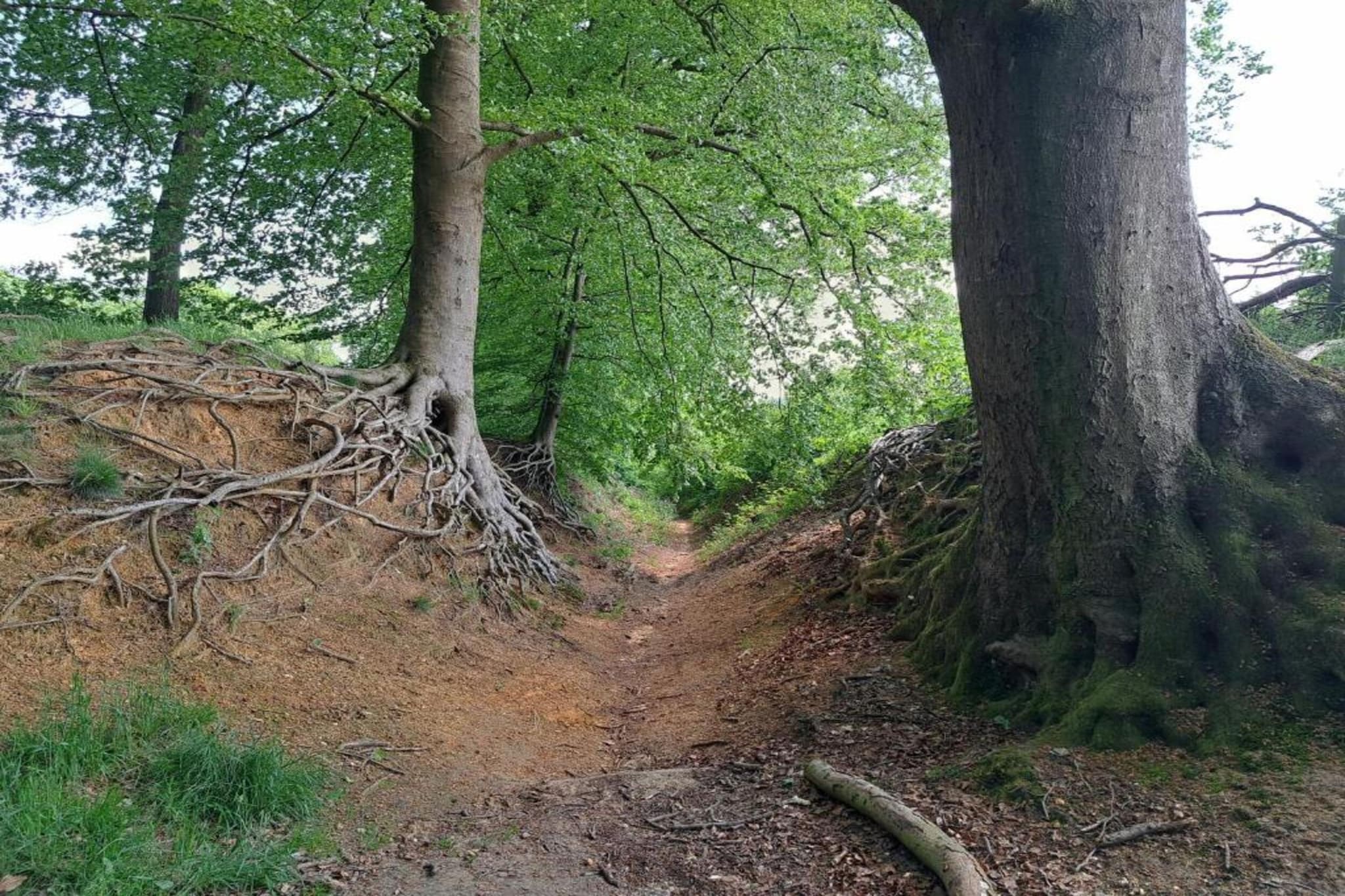 Villapark Ehzerburg 2-Gebieden zomer 20km