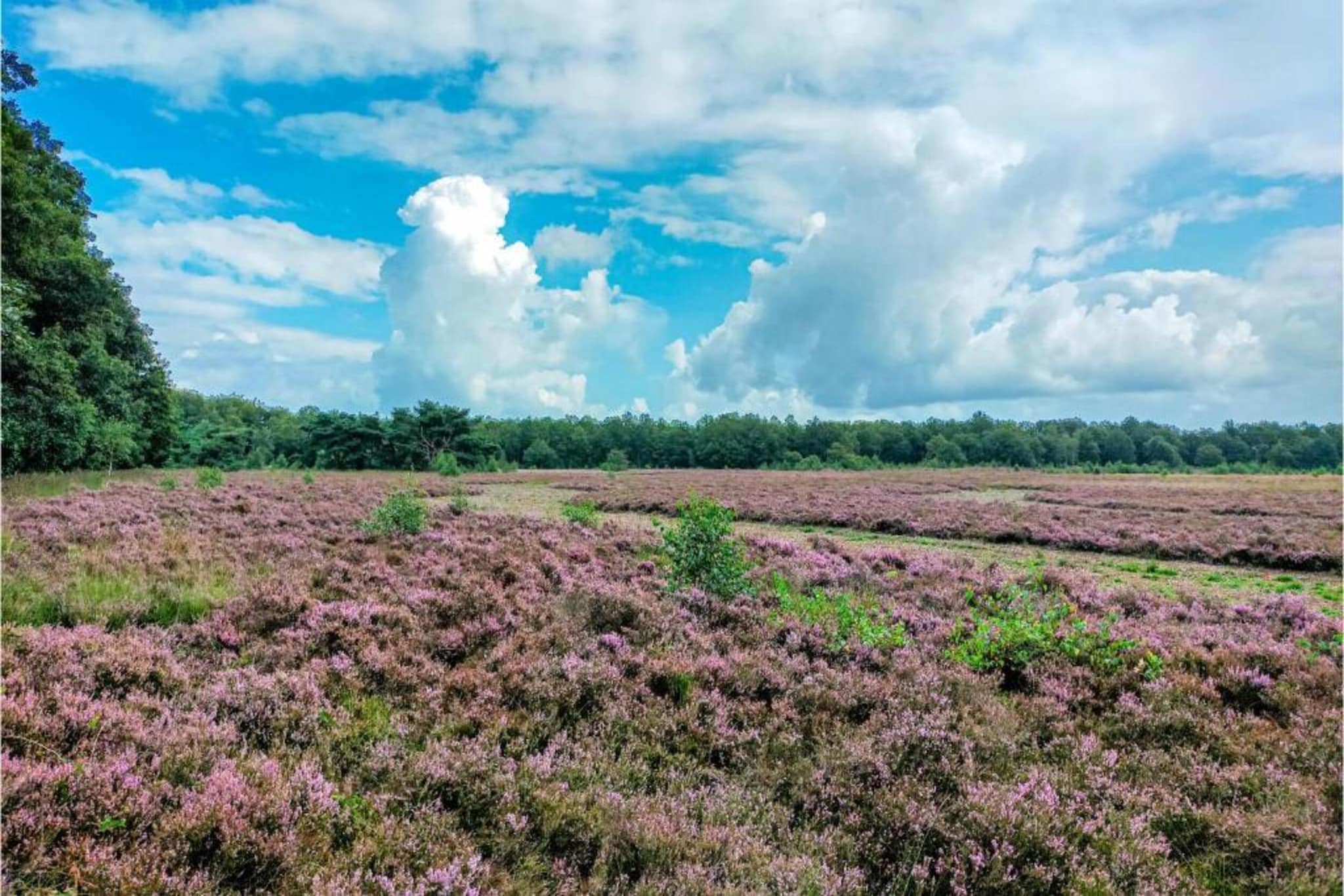 Vakantiepark Hunzedal 11-Gebieden zomer 20km