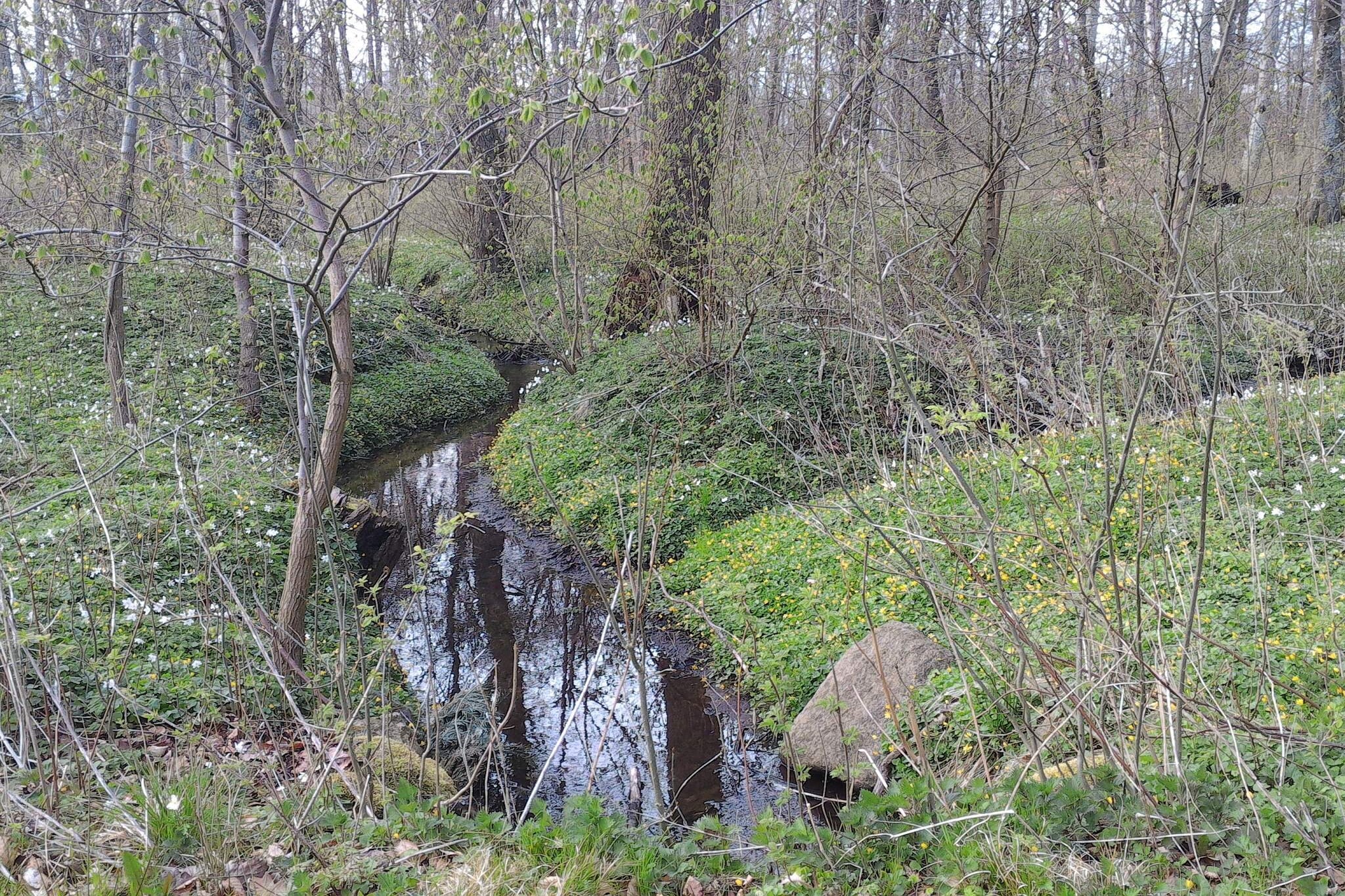 4 person holiday home in Asaa-By Traum