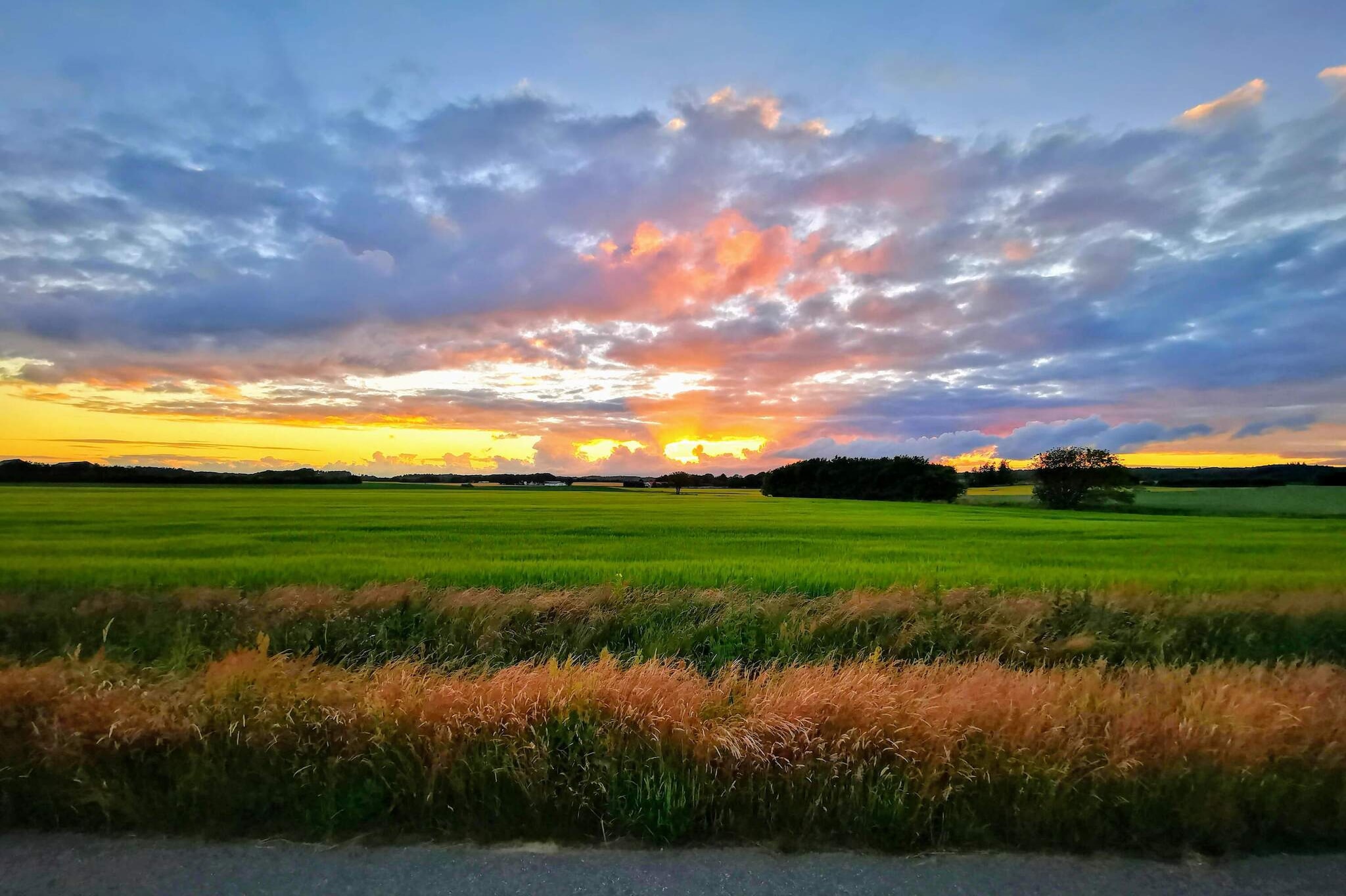 Internet Access DSL, open kitchen(cooker(electric), hood, coffee machine, microwave, fridge-freezer), Living/bed room(double folding bed, TV(german television channels, danish TV channels (DR1 and TV2)), radio), bedroom(double bed), bathroom(floor heating)(bathtub or shower, washbasin, toilet, washing machine), heating(electric), terrace, garden, BBQ