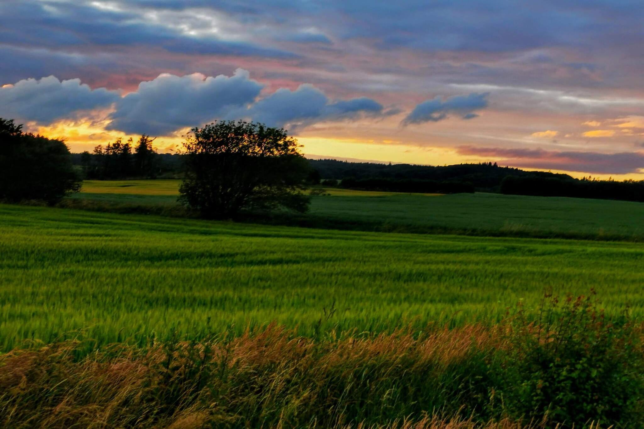 4 person holiday home in Asaa-By Traum