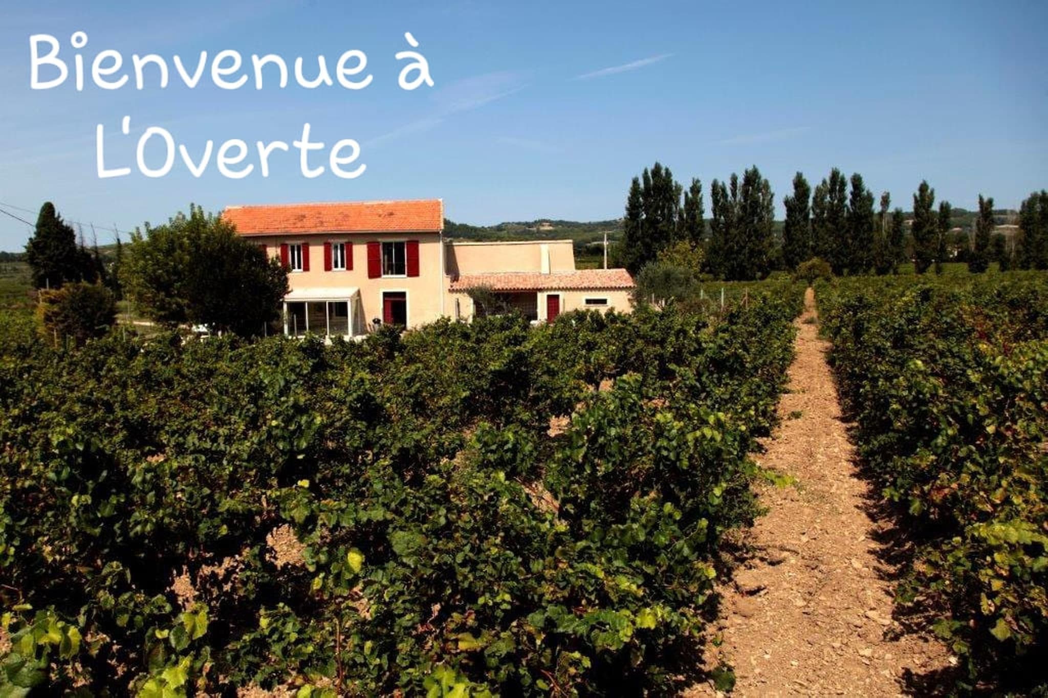 L'O Verte-Zones été à 1 km