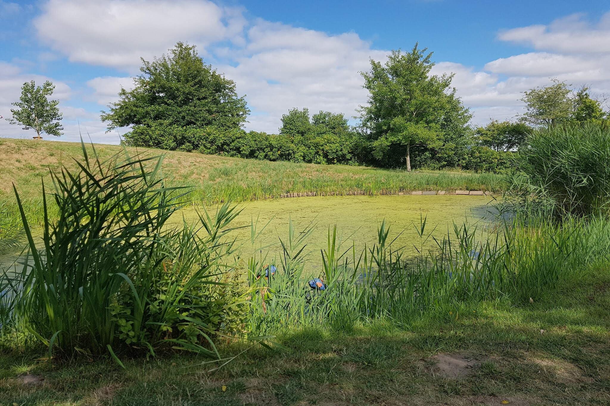 Charming Retreat in Rudbol - By Traum Ferienwohnungen