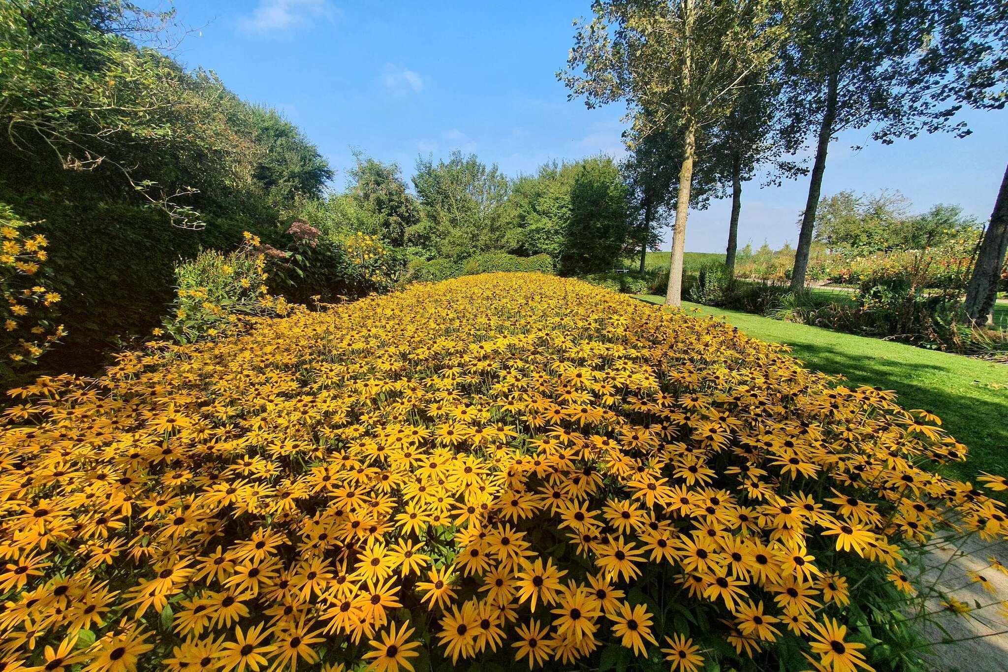 Internet Access DSL, open kitchen(cooker(electric), hood, fridge(+ freezer)), Living/bed room(TV), bedroom(double bed), bedroom(double bed), bedroom(double bed), bathroom(bathtub or shower, washbasin, toilet), heating(electric), terrace, BBQ, swimming pool(shared with other guests, outside), air to air heatpump