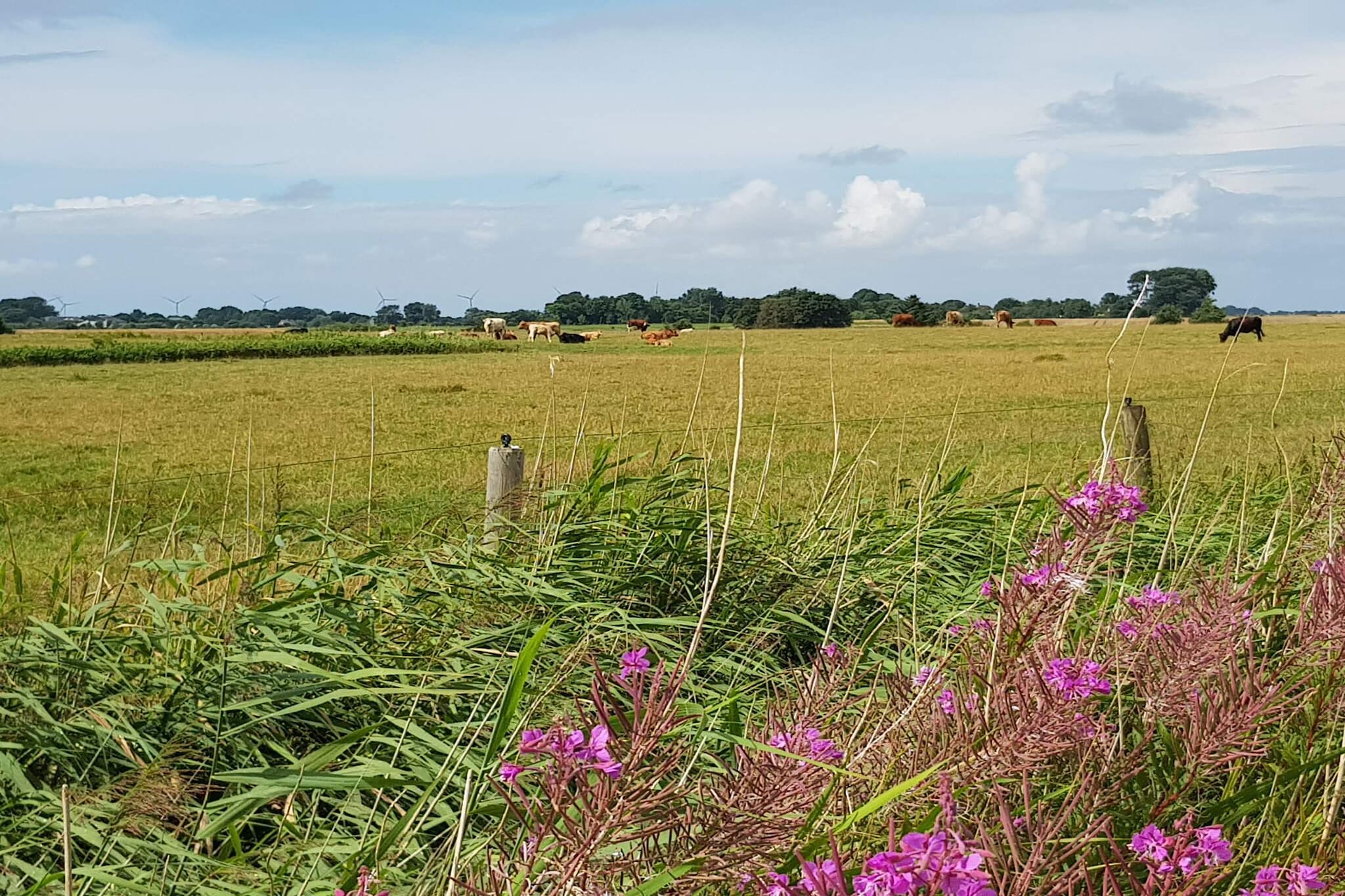 Charming Retreat in Rudbol - By Traum Ferienwohnungen