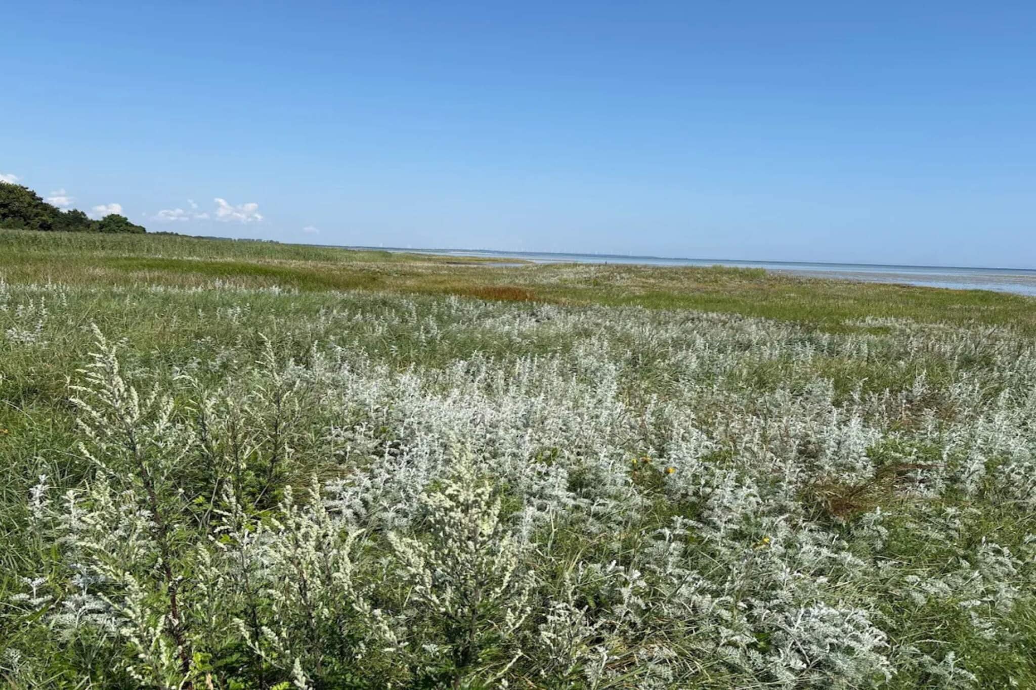 11 person holiday home in Ørsted-By Traum