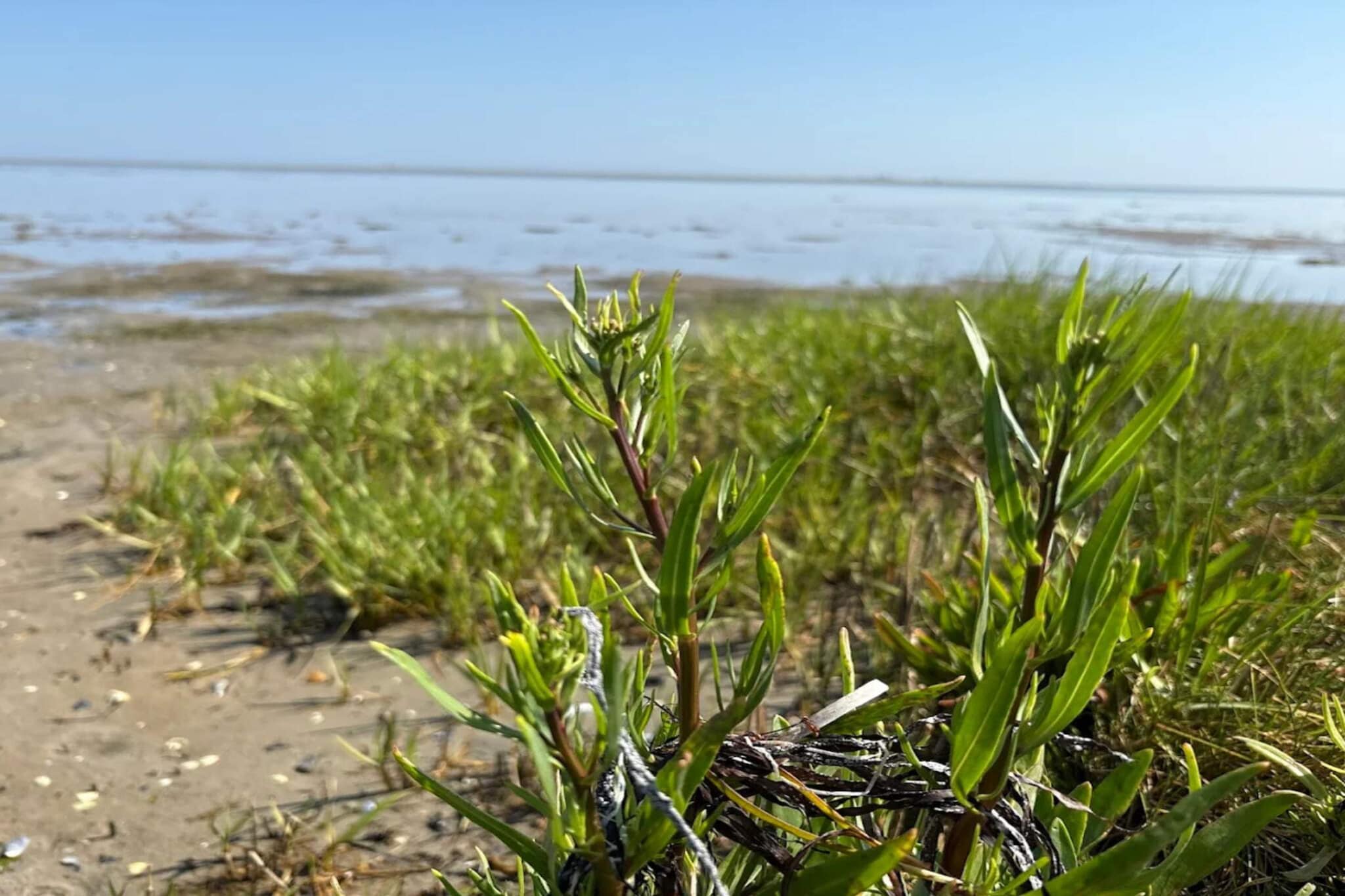 11 person holiday home in Ørsted-By Traum