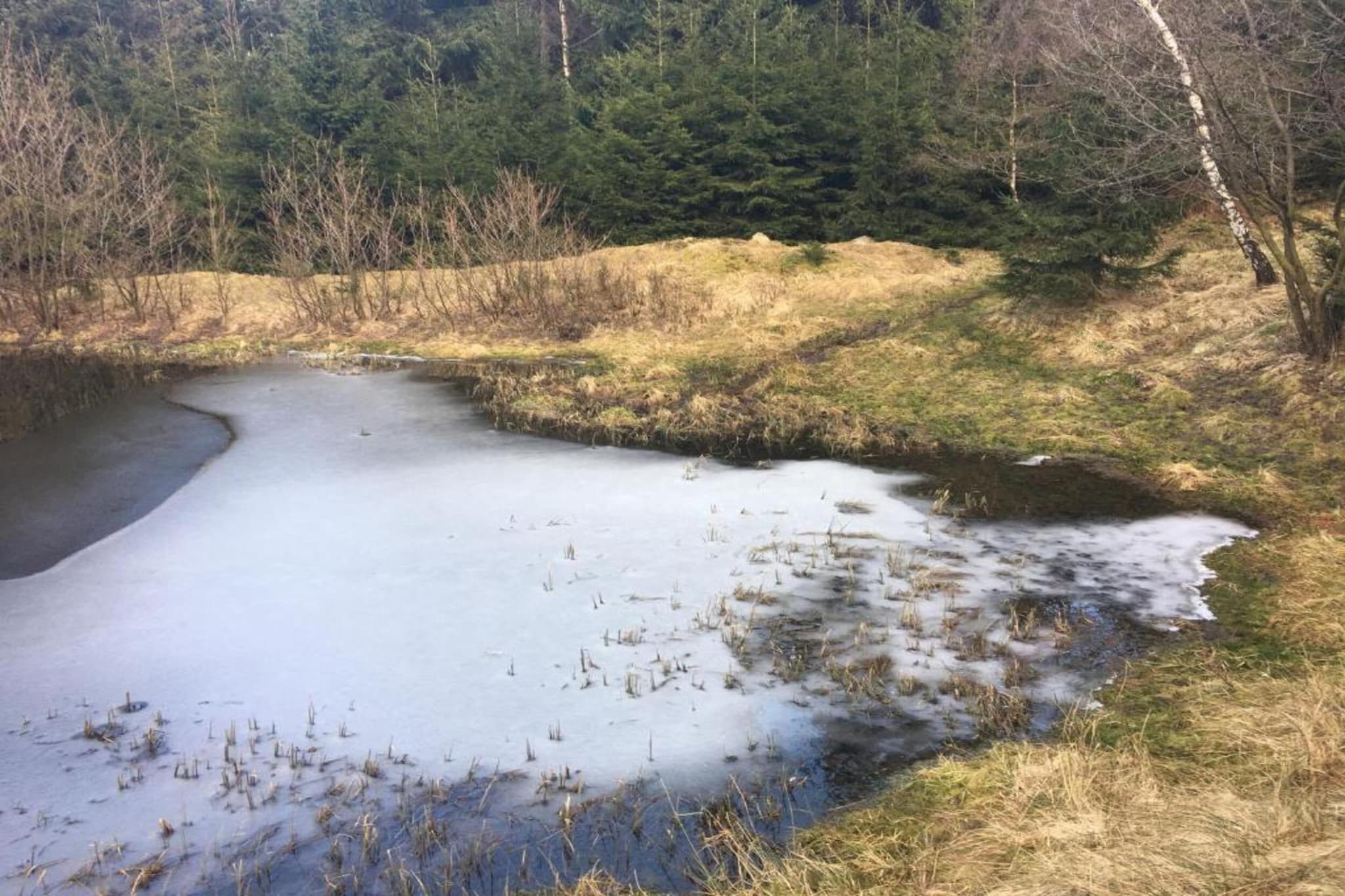 Stela-Zone d'hiver à 5 km