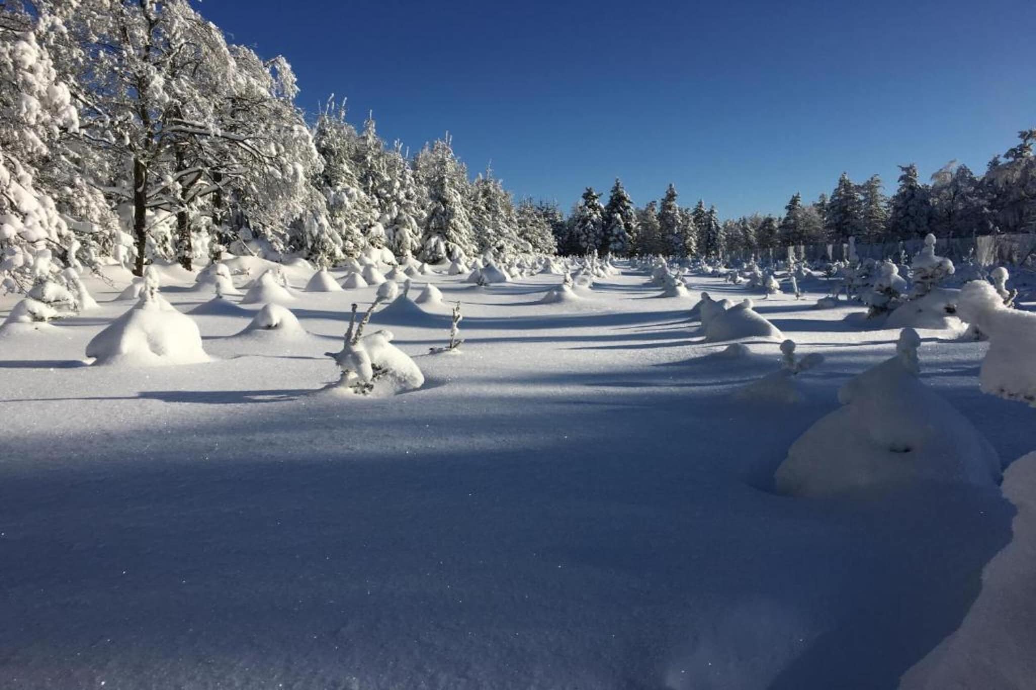 Stela-Zone d'hiver à 5 km