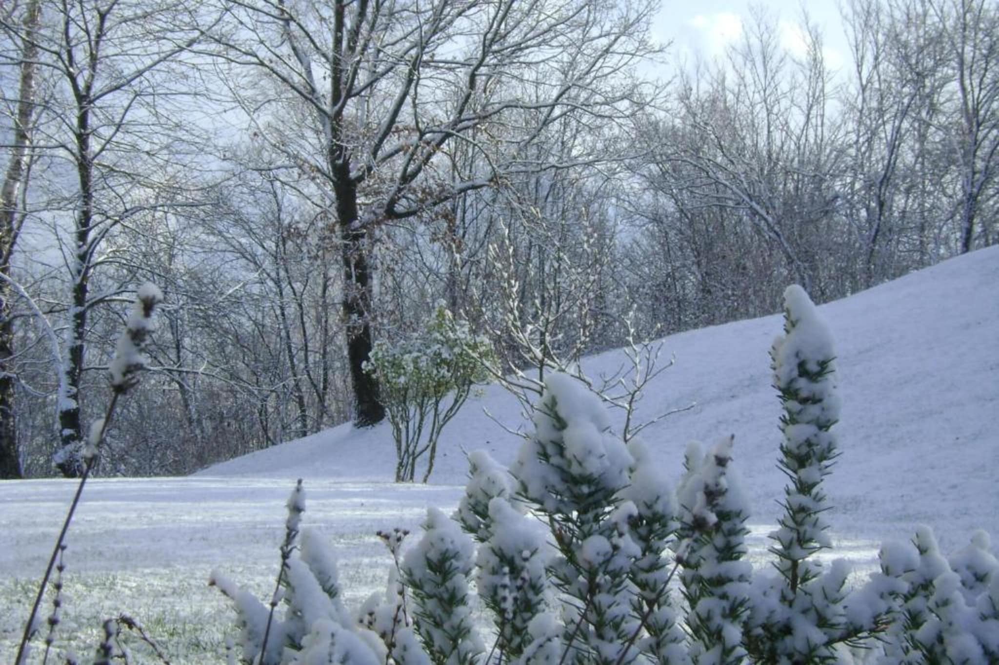 Casa delle Alpi-Gebied winter 20km