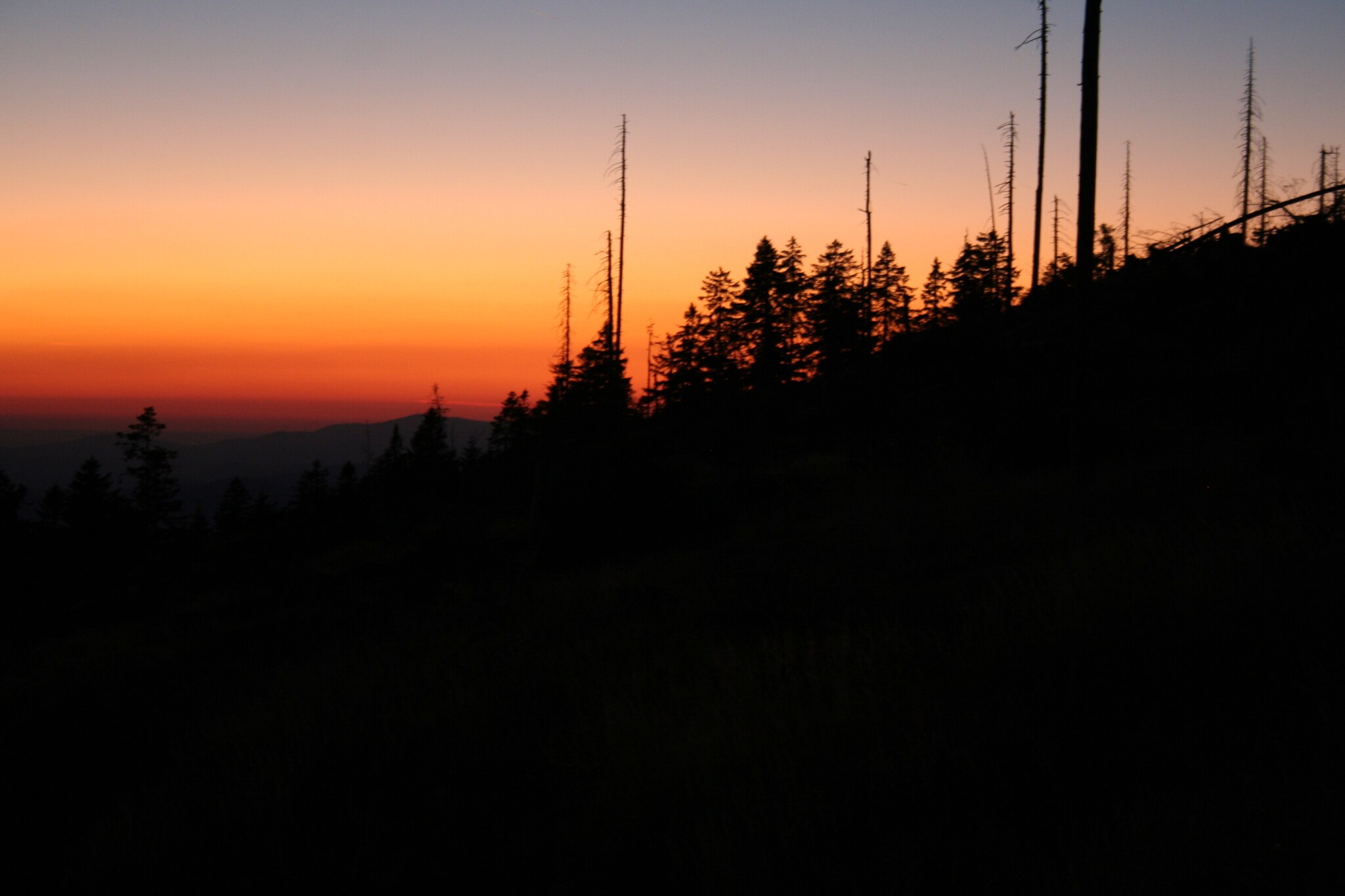 Bayerischer Wald-Gebieden zomer 20km