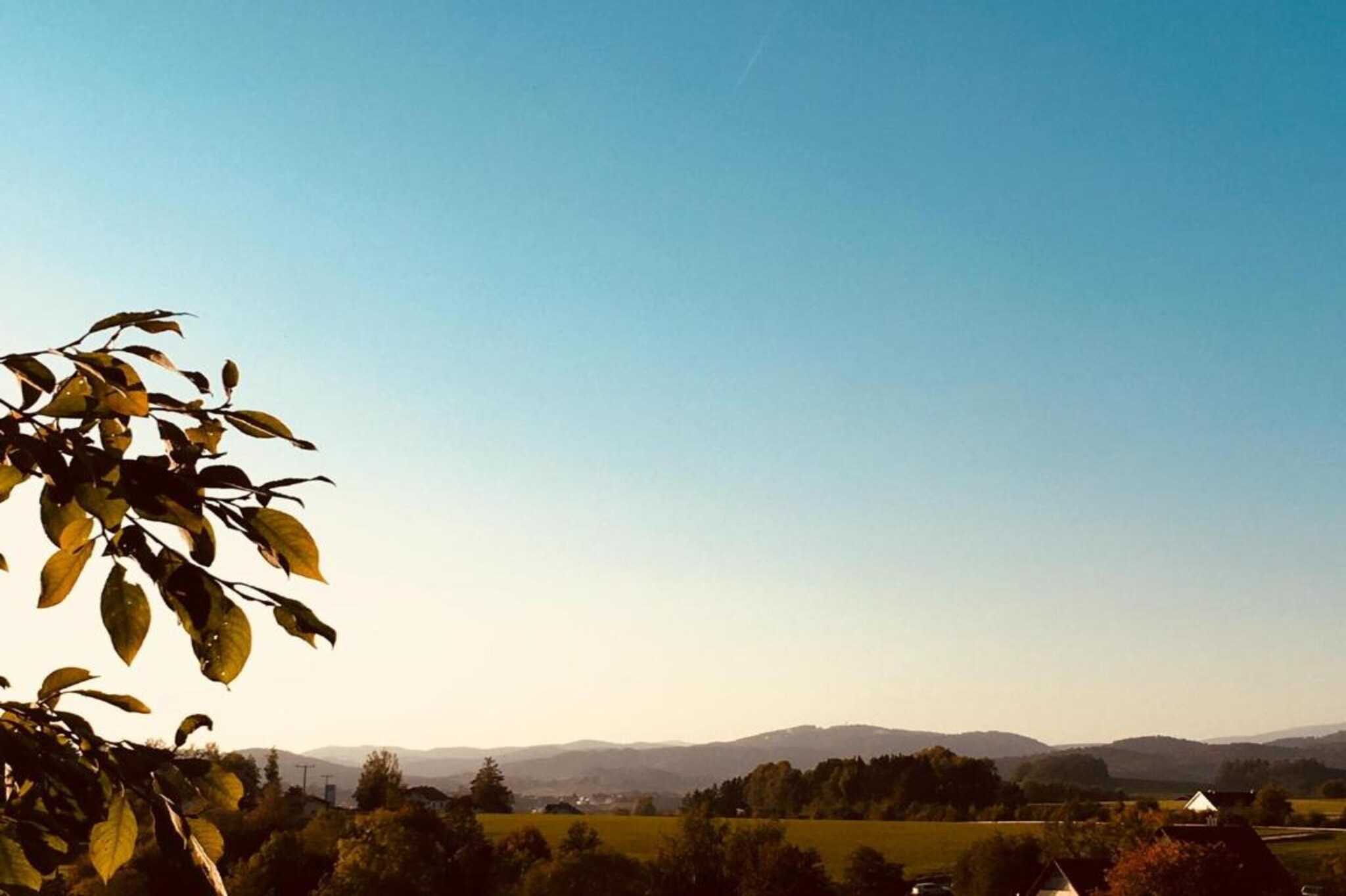 Bayerischer Wald-Gebieden zomer 20km