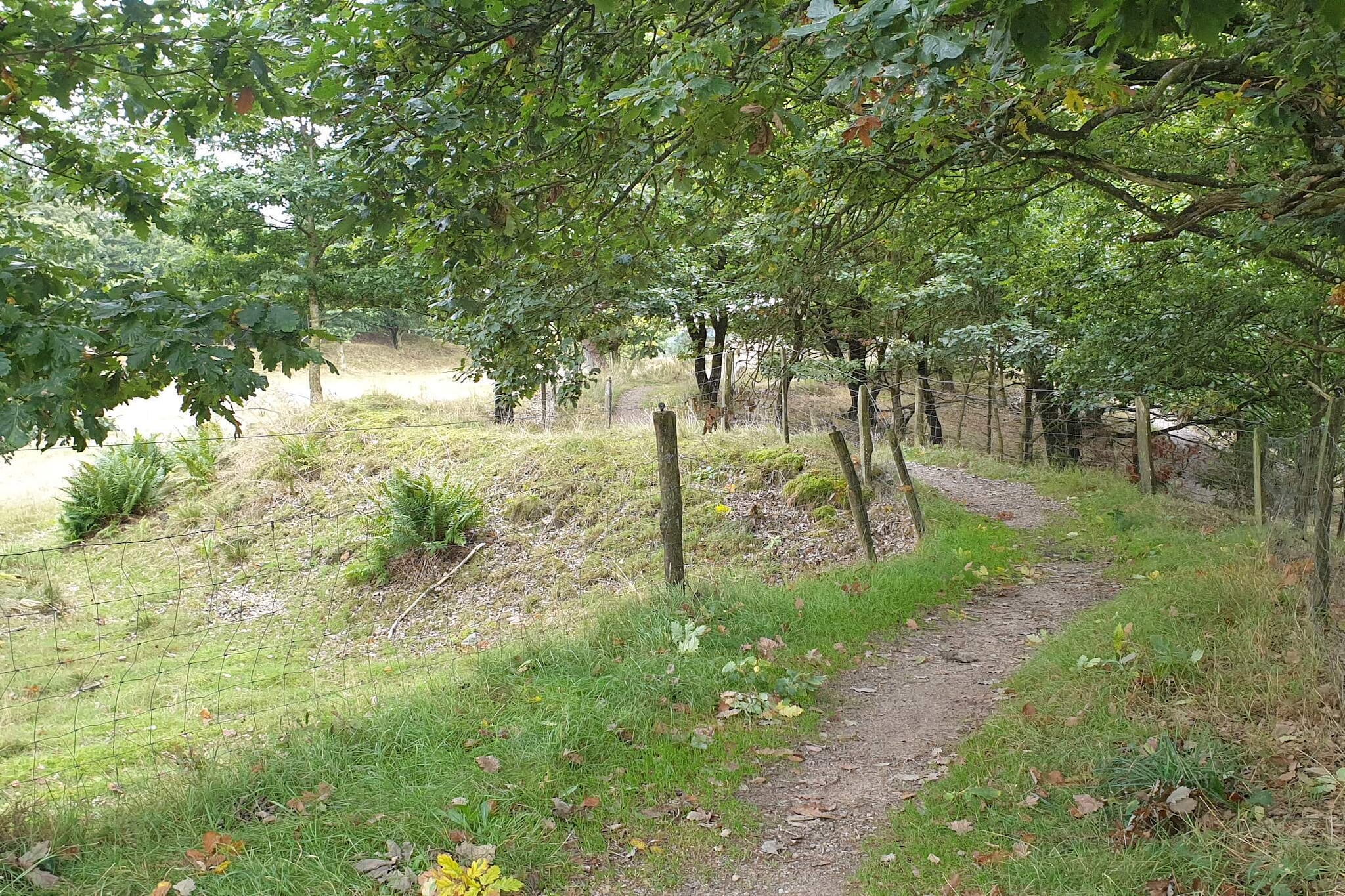 Bright Cottage Retreat in Silkeborg-By Traum