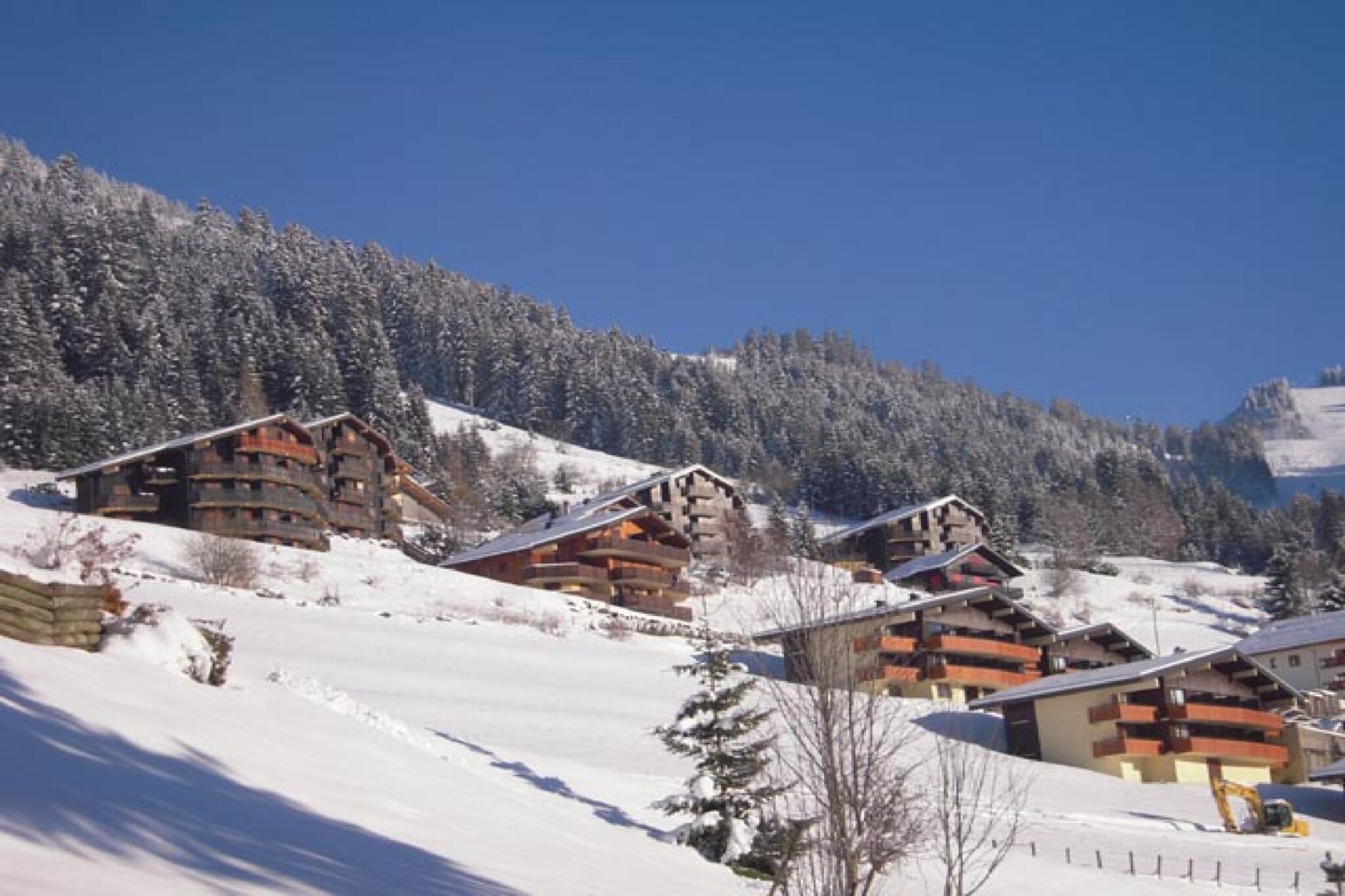 Mountain-View Apartment in Châtel with Ski storage