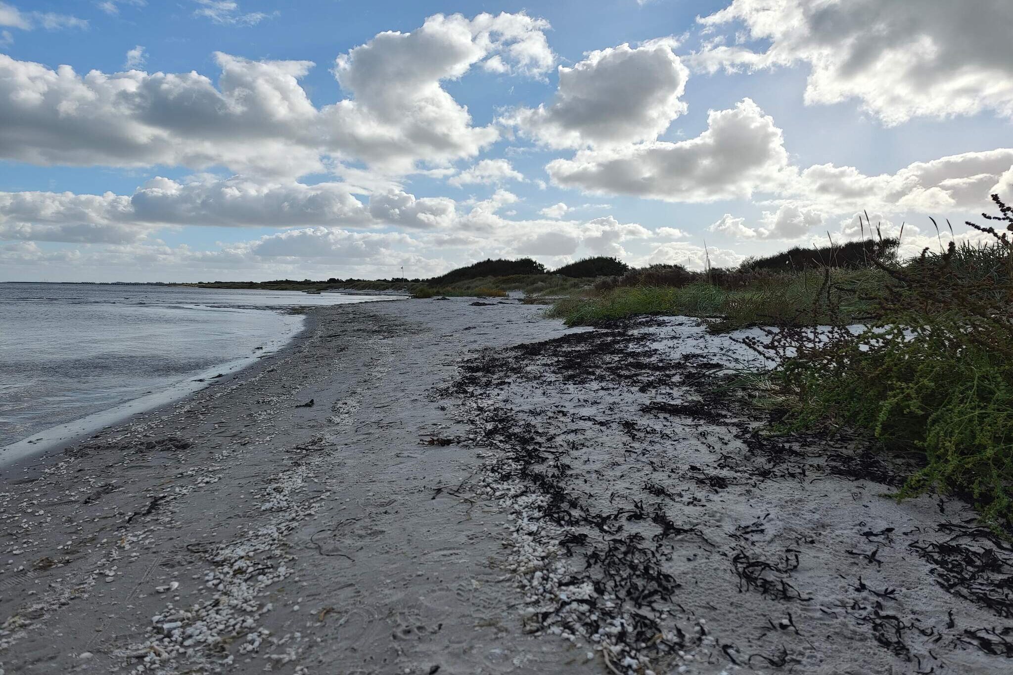 Ruim toevluchtsoord met whirlpool -- By Traum Ferienwohnungen-Waterzicht