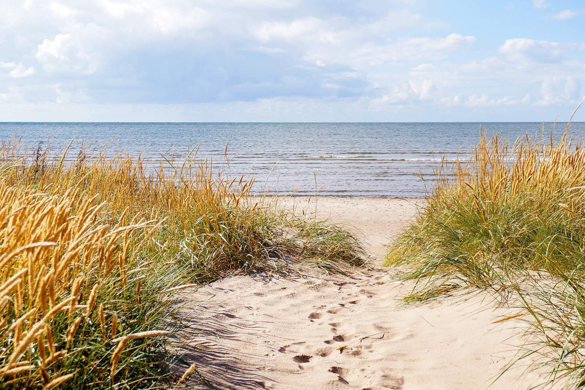 open kitchen(cooker(electric), hood, fridge-freezer), Living/bed room(radio, CD player), bedroom(2x single bed), bedroom(single bed), bedroom(2x bunk bed), bathroom(washbasin, shower, toilet, washing machine), heating(electric), terrace(roofed), garden furniture, BBQ, parking