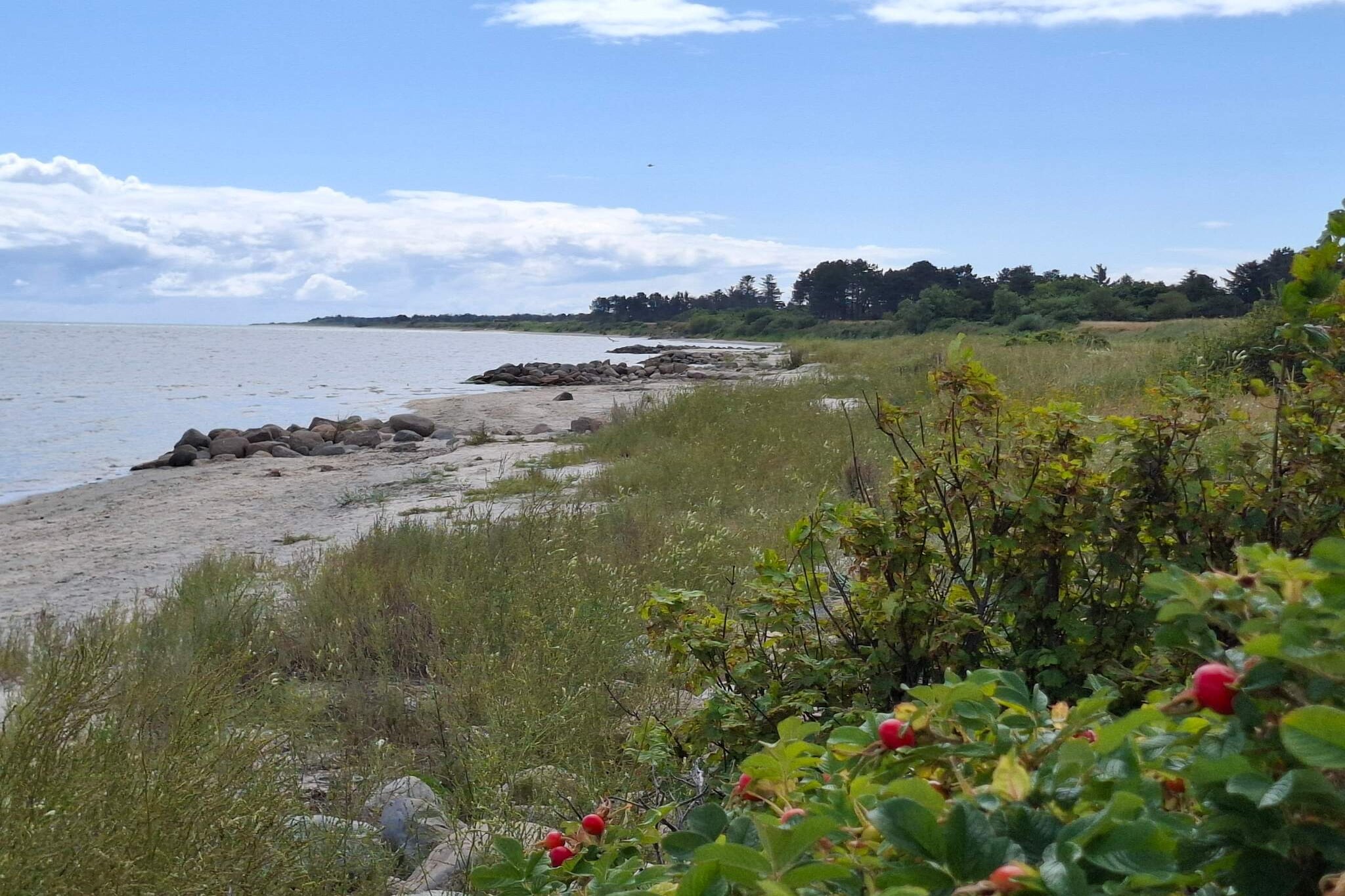 Maison de vacances pour 8 a Sæby-By Traum - Vue sur l'eau