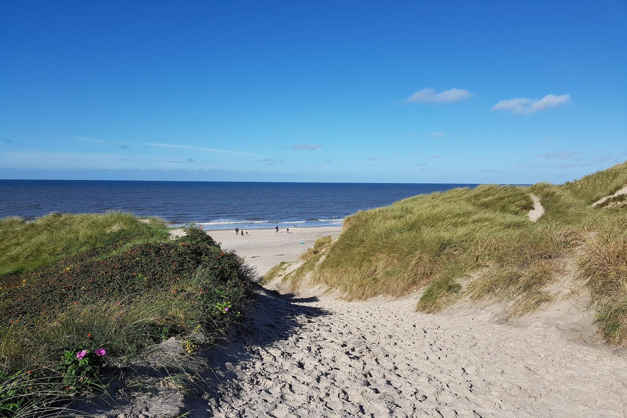 8 persoons vakantie huis in Ringkøbing-By Traum - Waterzicht