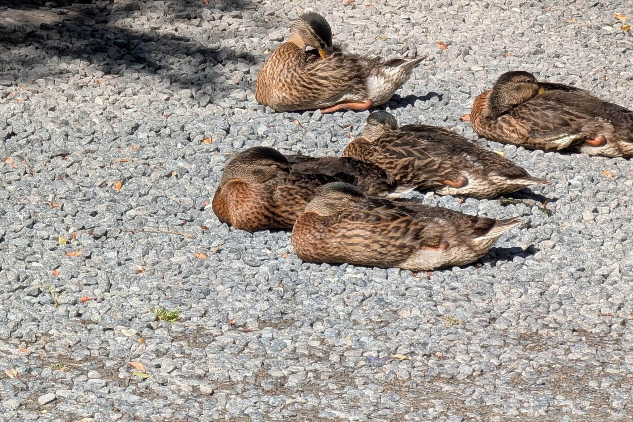 Ruhiges Versteck in Lyngsbaek-By Traum-Nicht zugeordnet