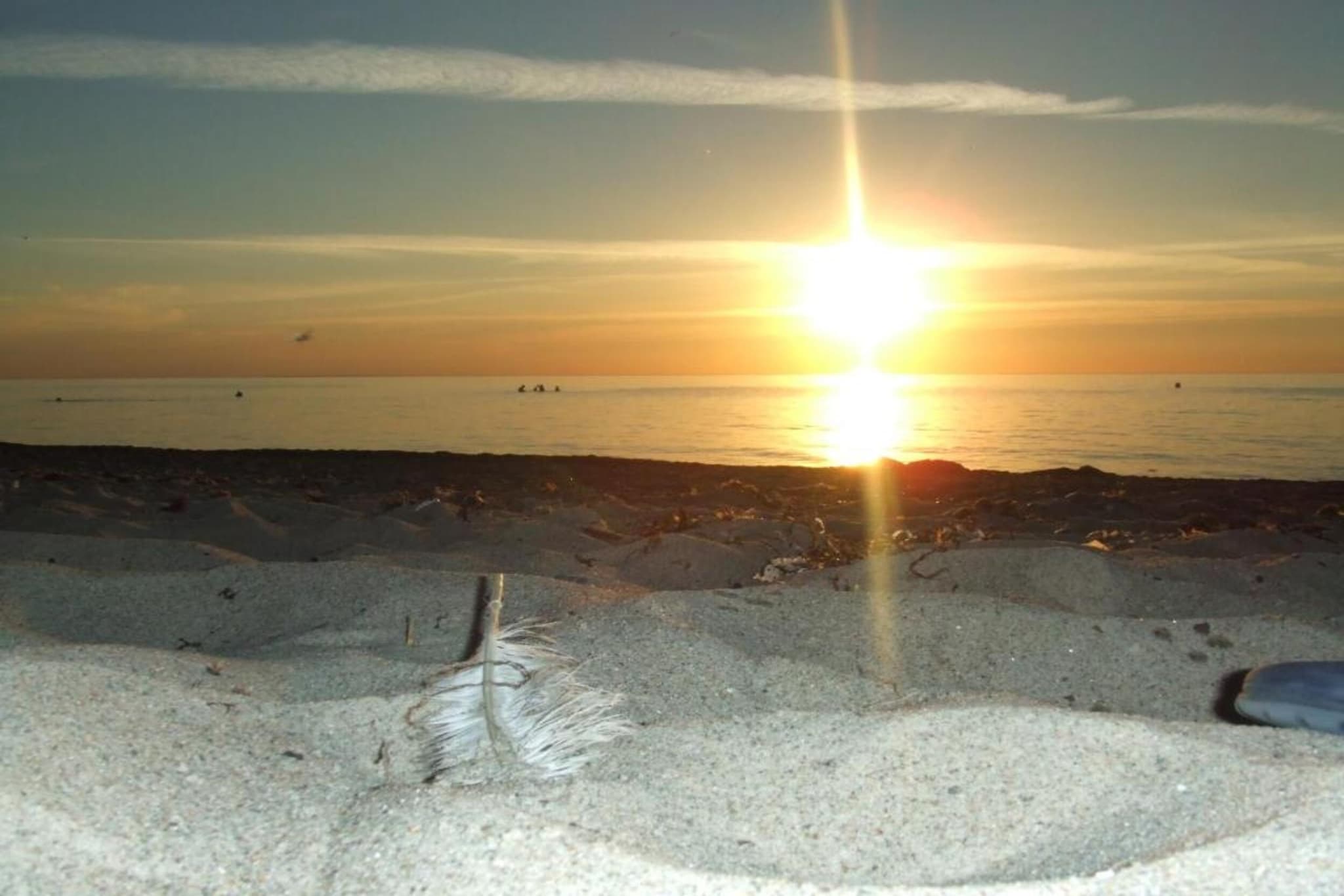 Ferienwohnung Albatross - strandnaher Urlaub Ostseebad Rerik-Gebieden zomer 5km