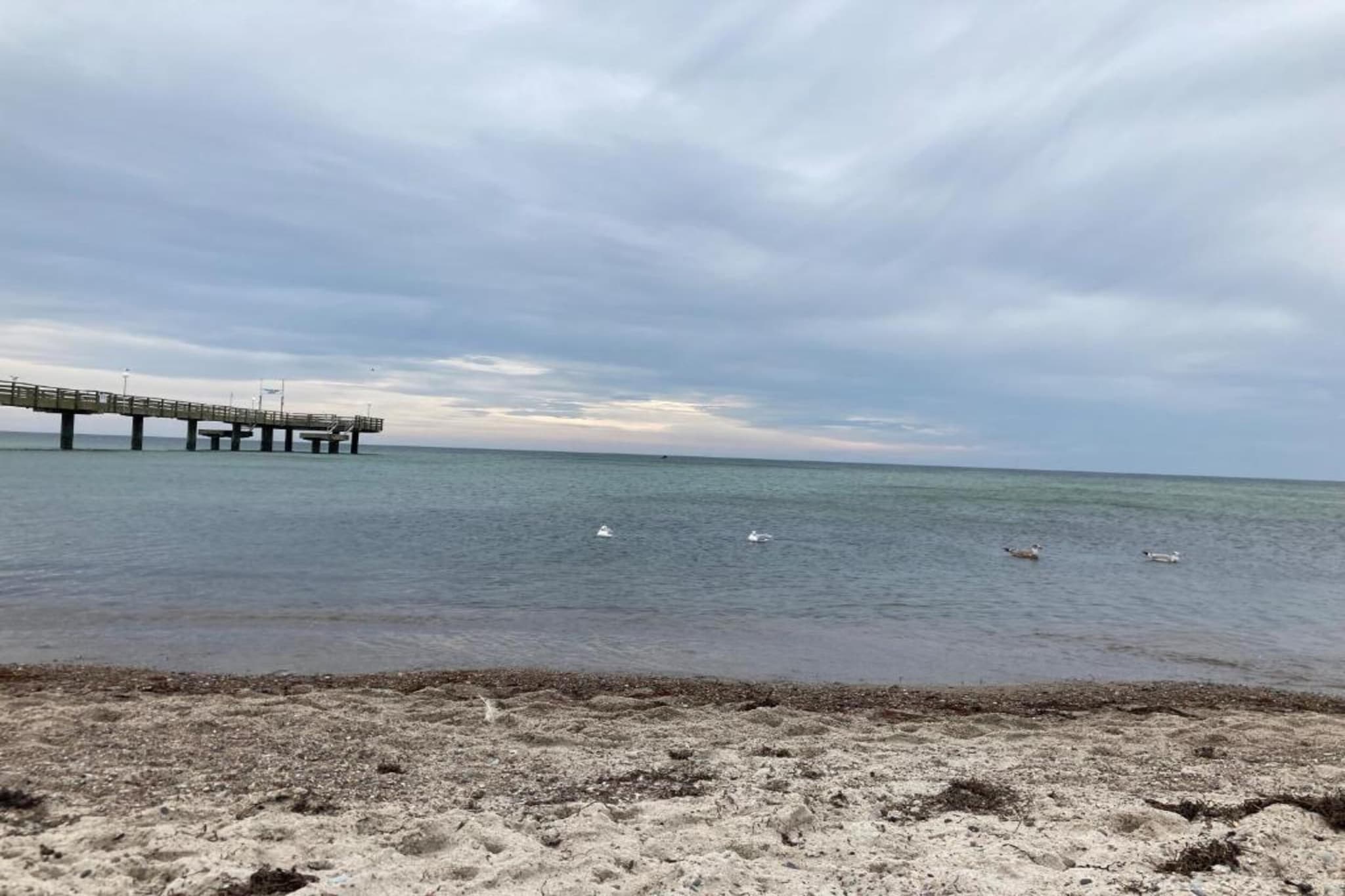 Ferienwohnung Albatross - strandnaher Urlaub Ostseebad Rerik-Gebieden zomer 5km