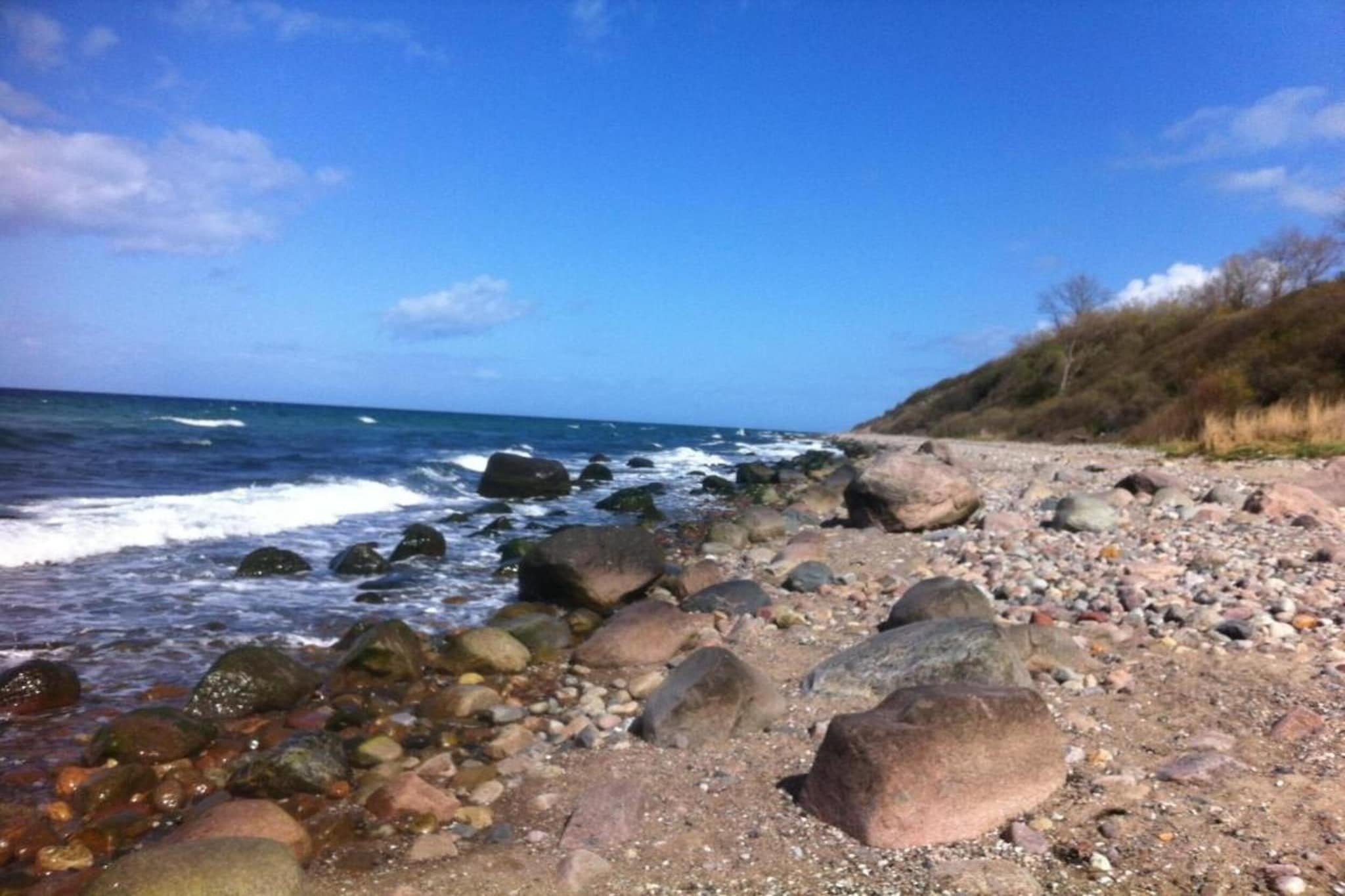 Ferienwohnung Albatross - strandnaher Urlaub Ostseebad Rerik-Gebieden zomer 5km