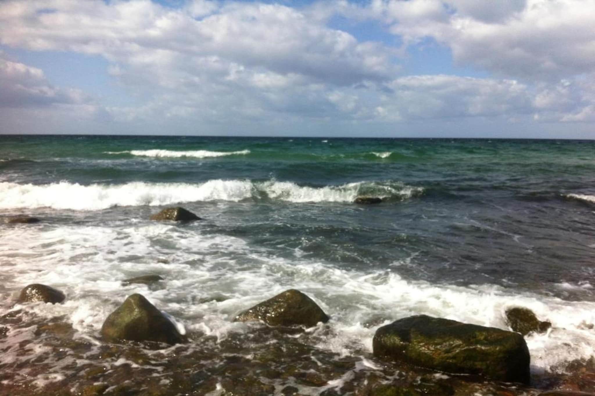 Ferienwohnung Albatross - strandnaher Urlaub Ostseebad Rerik-Gebieden zomer 5km