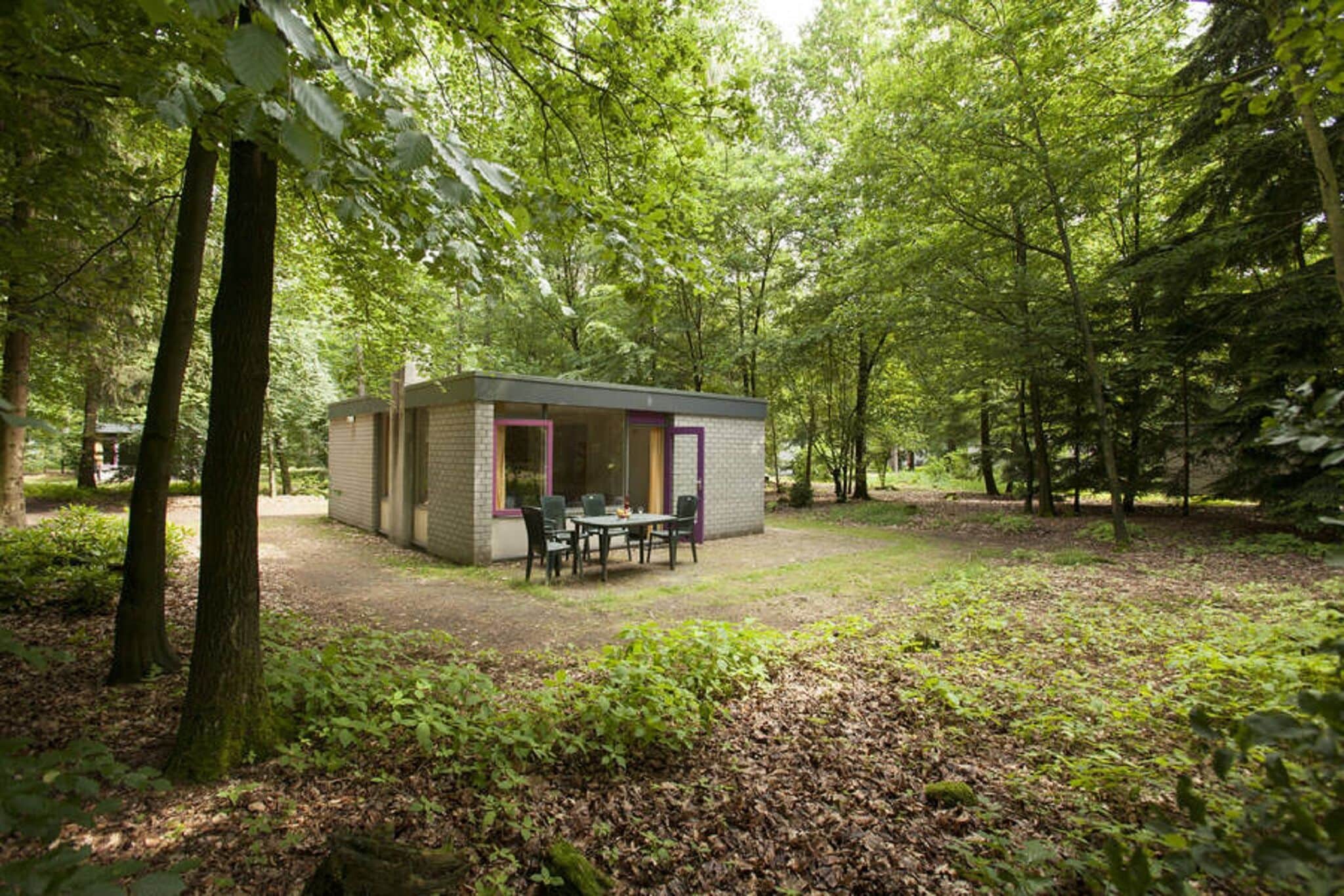Verzorgd ingerichte bungalow met open haard, op de Veluwe
