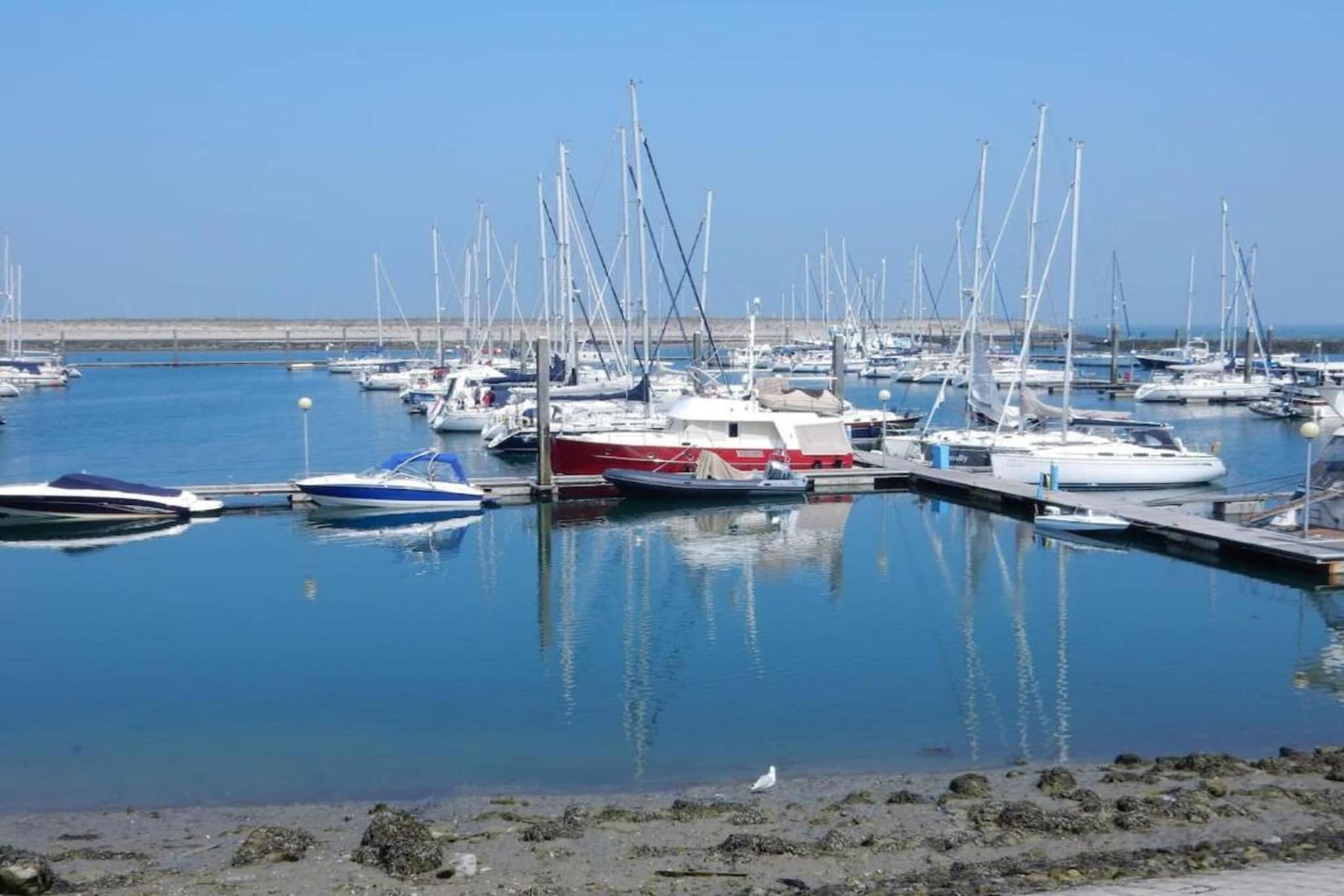 Water Village 4-Gebieden zomer 5km
