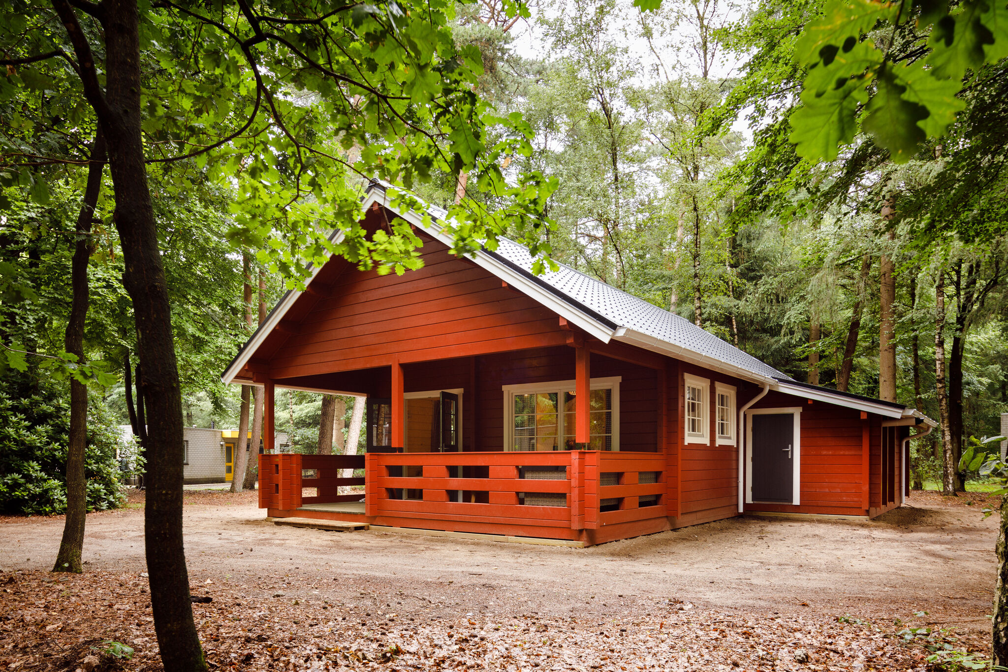 Lodge en bois avec une véranda, à Veluwe