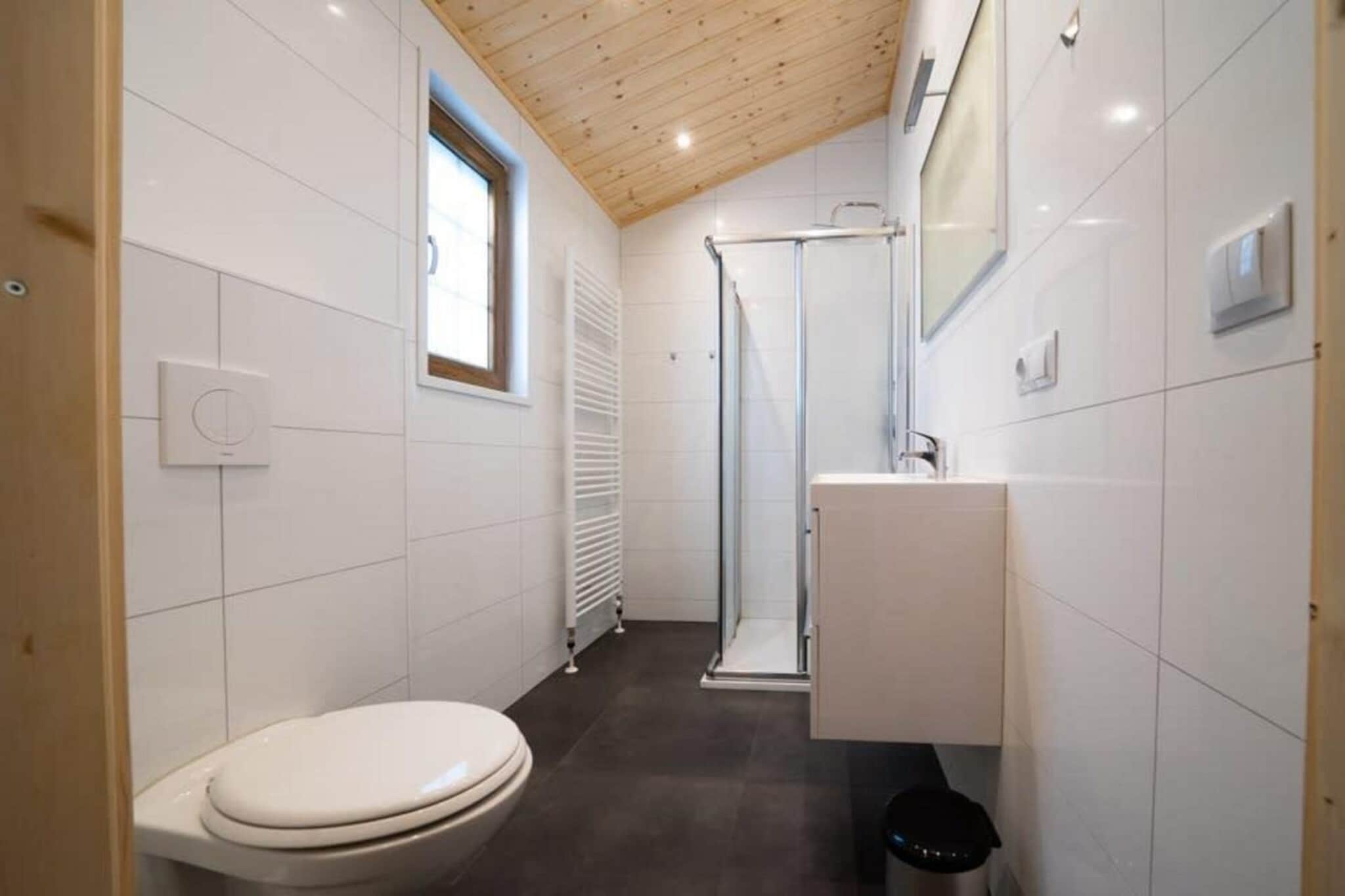 Boekhorst 5 - Salle de bain