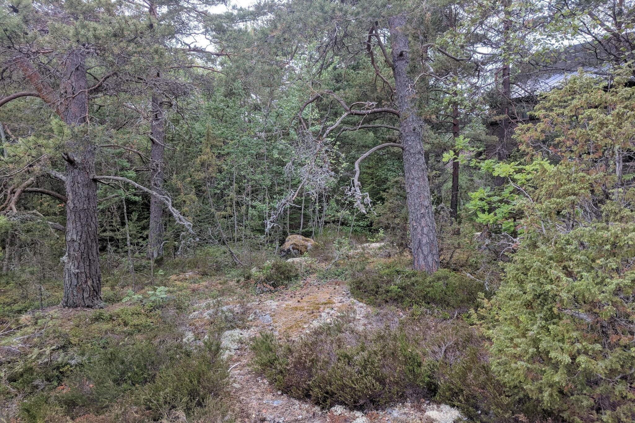 Sweden