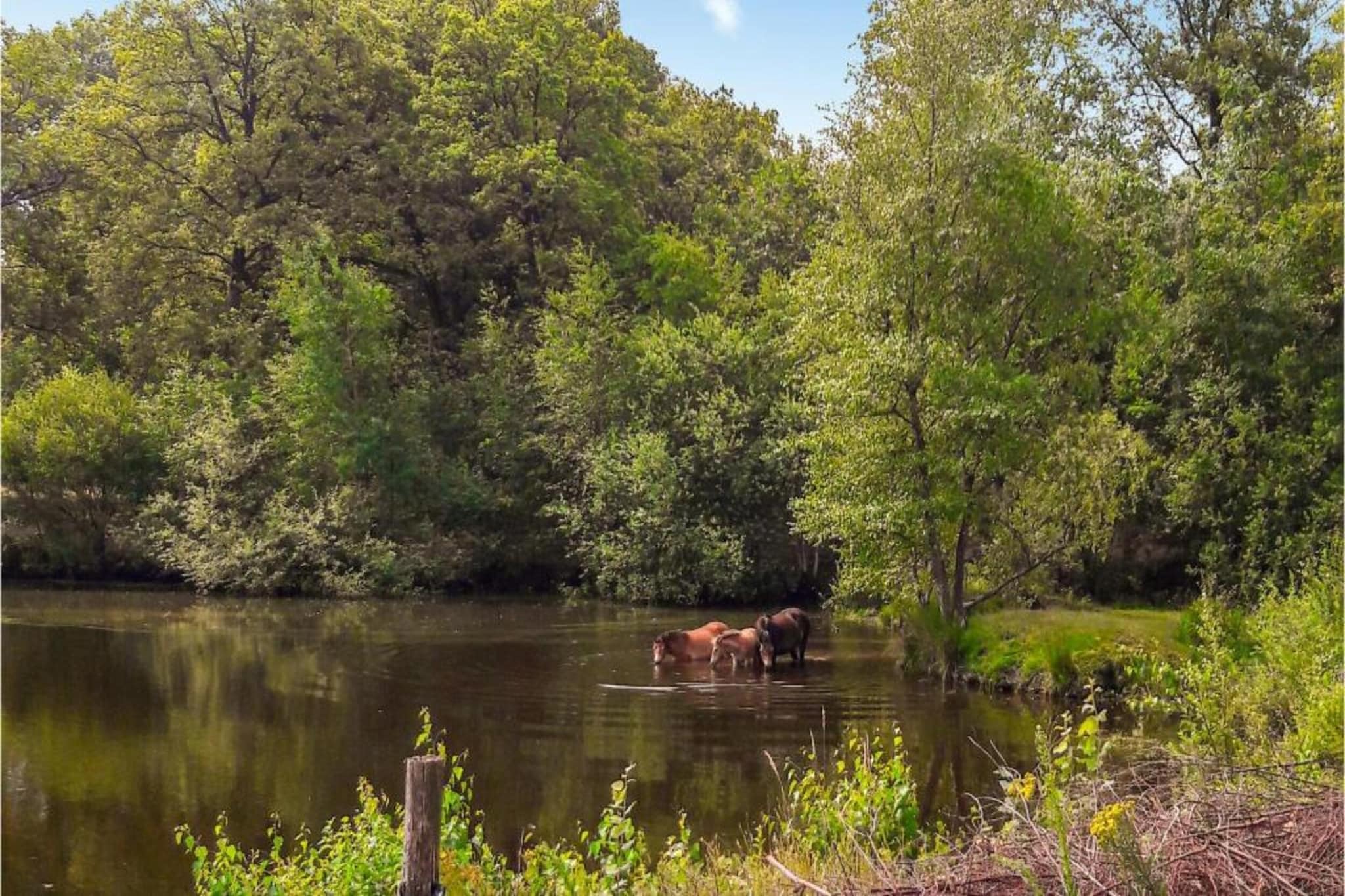 Vakantiepark Weerterbergen 11-Gebieden zomer 20km