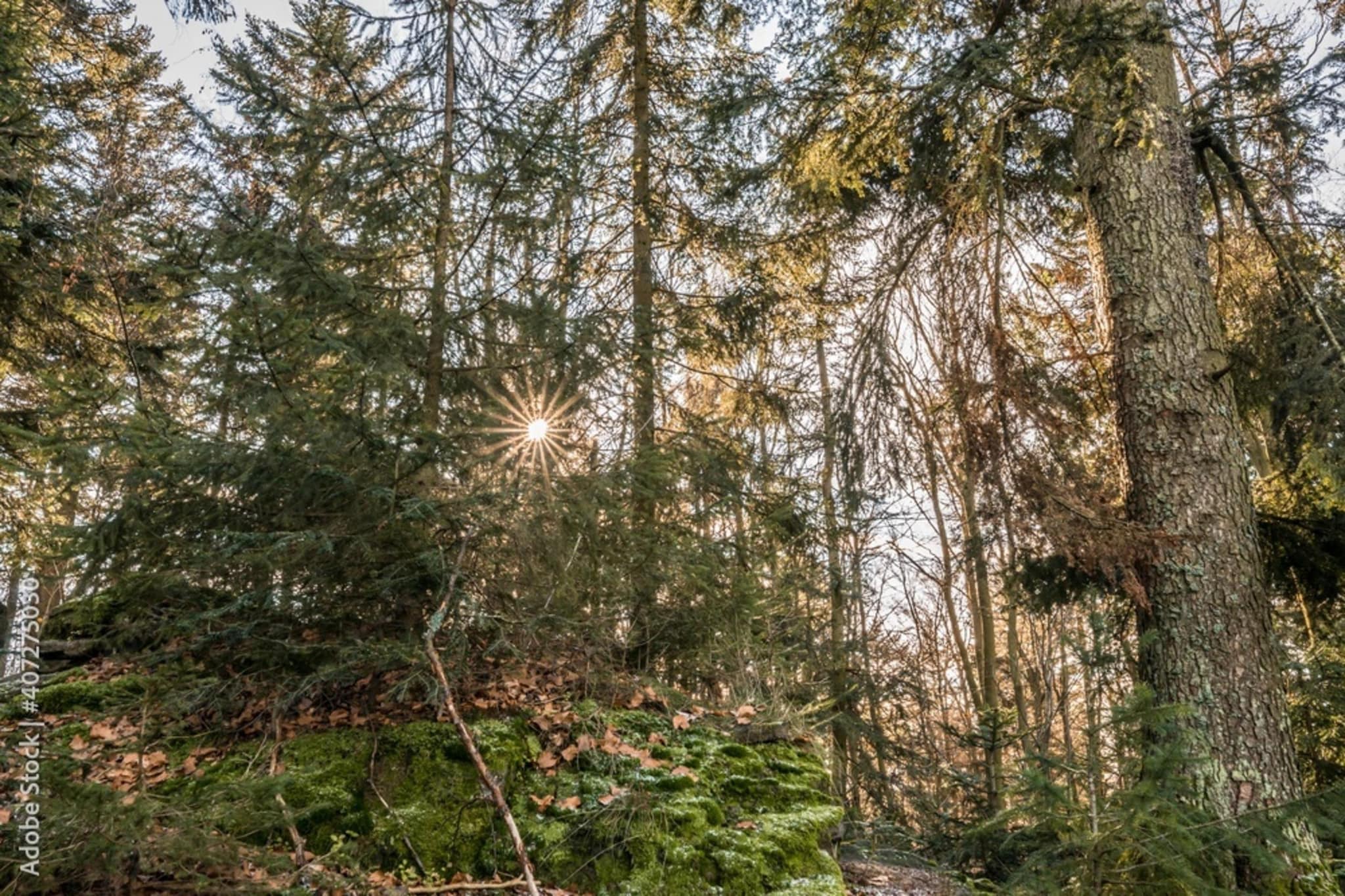 Sonnenhügel-Gebieden zomer 5km