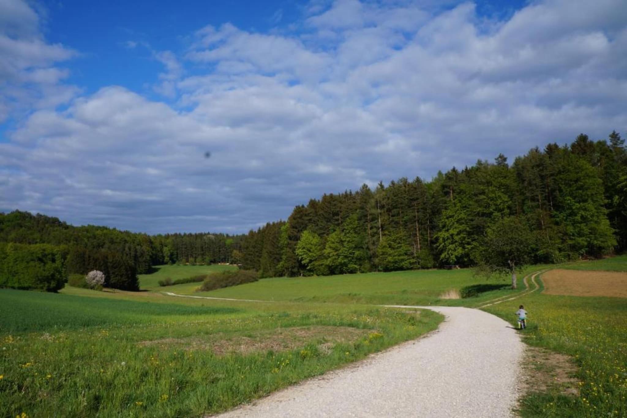 Sonnenhügel-Gebieden zomer 20km