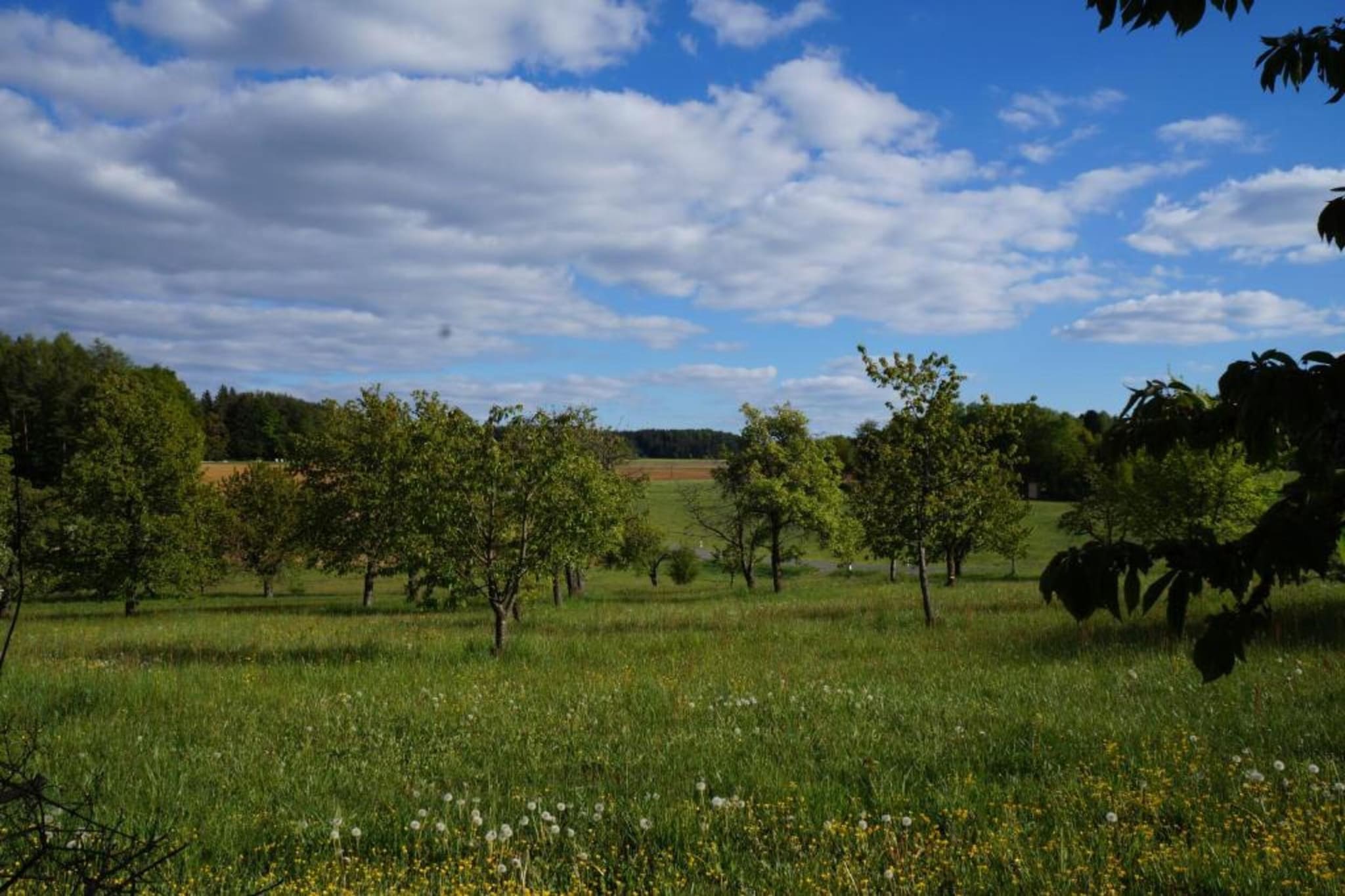 Sonnenhügel-Gebieden zomer 20km