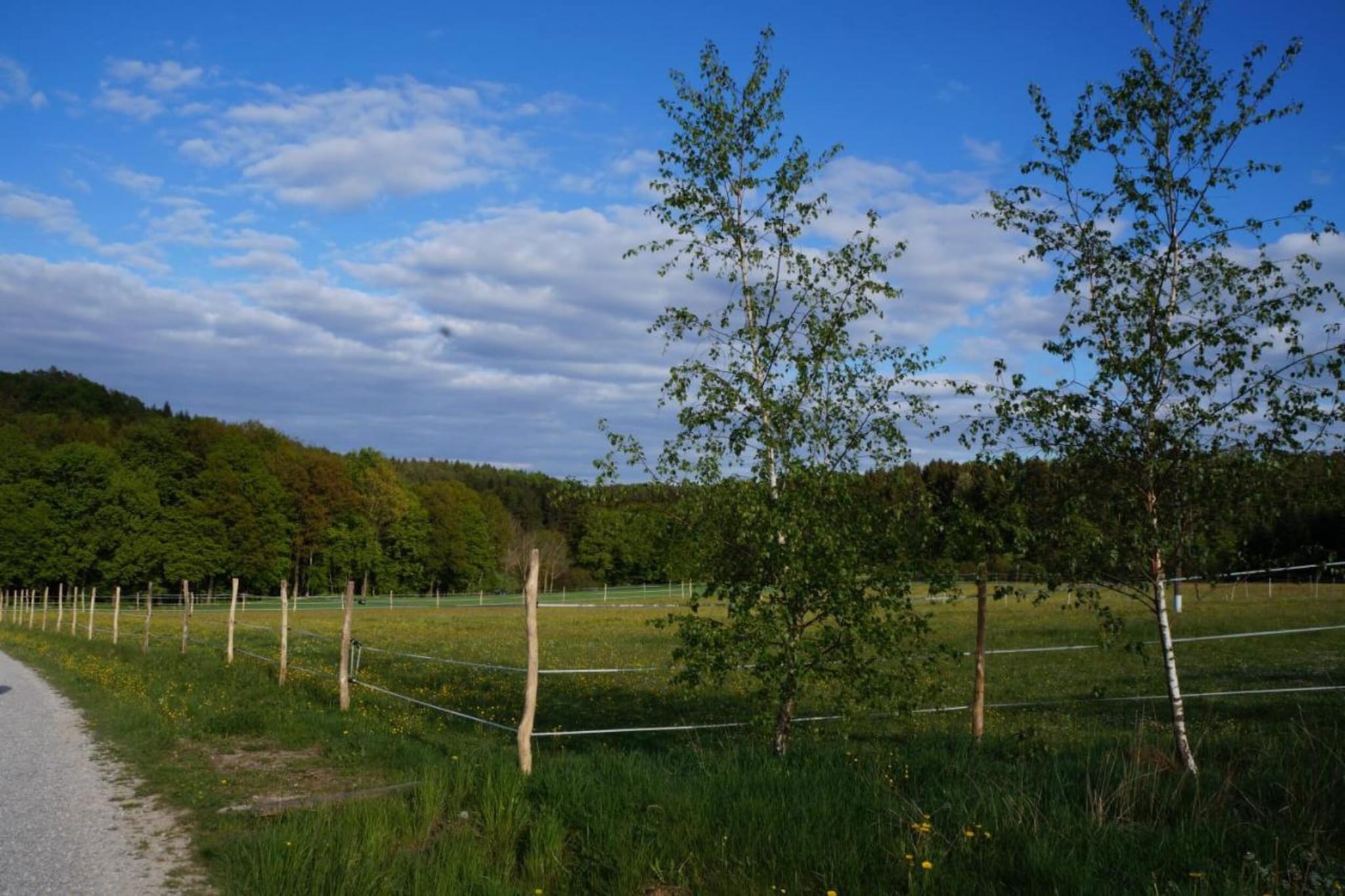 Sonnenhügel-Gebieden zomer 20km