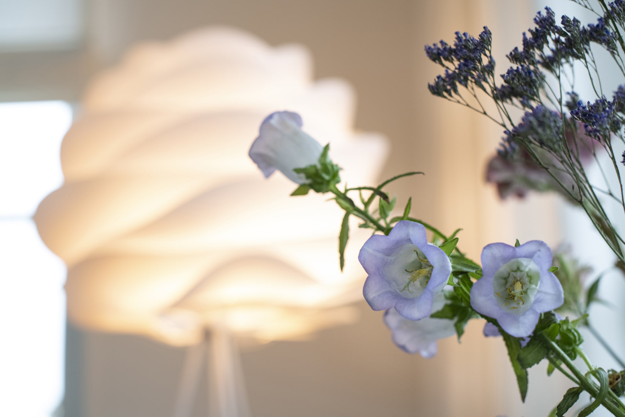 Friese Meren Villa's 4-Ambiente