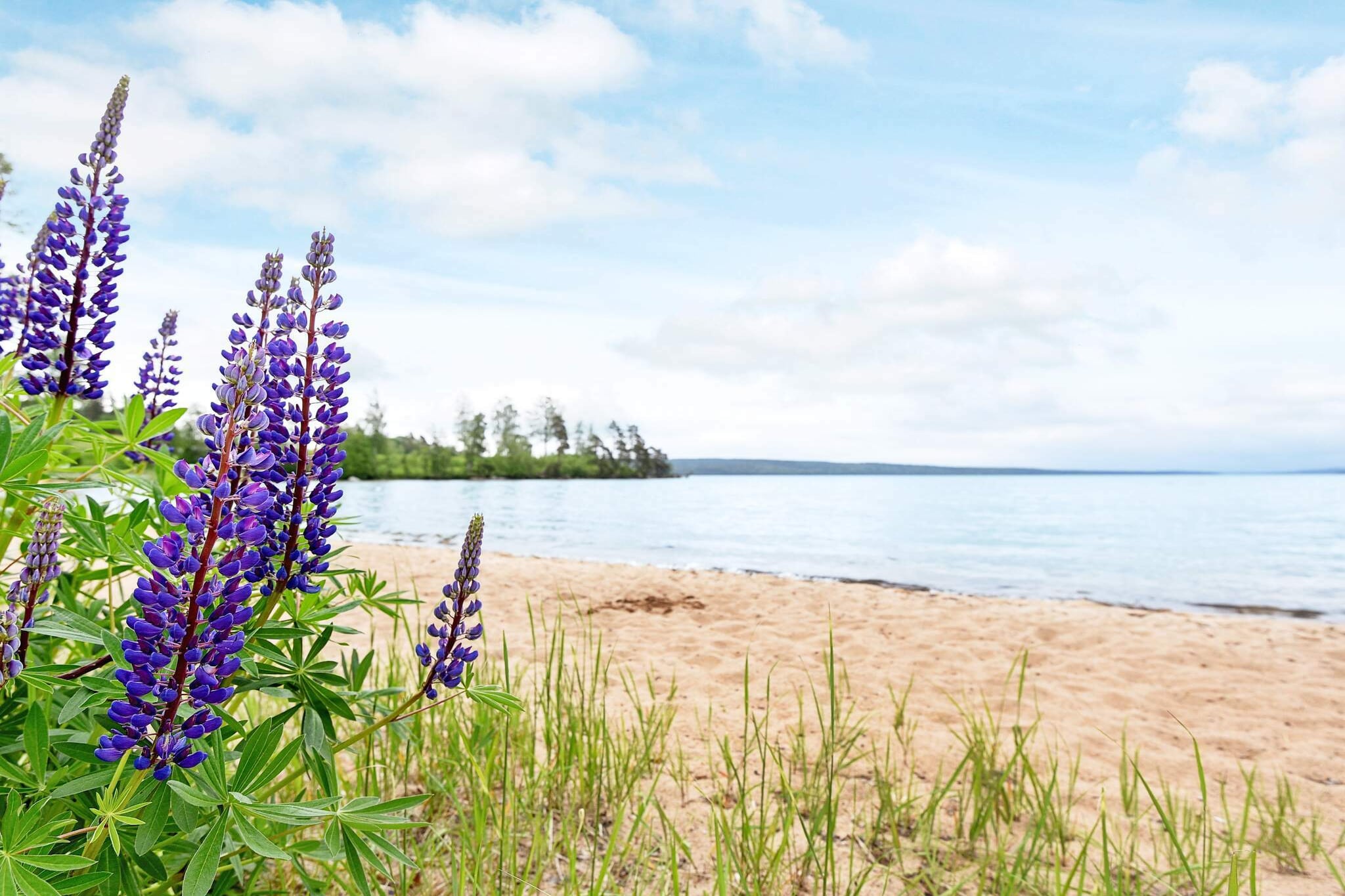 4 person holiday home in Ã…rjÃ¤ng