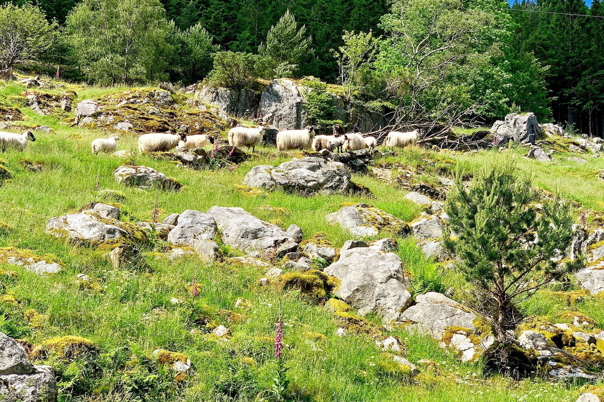 VALEVÅG 04133 - Buitenlucht