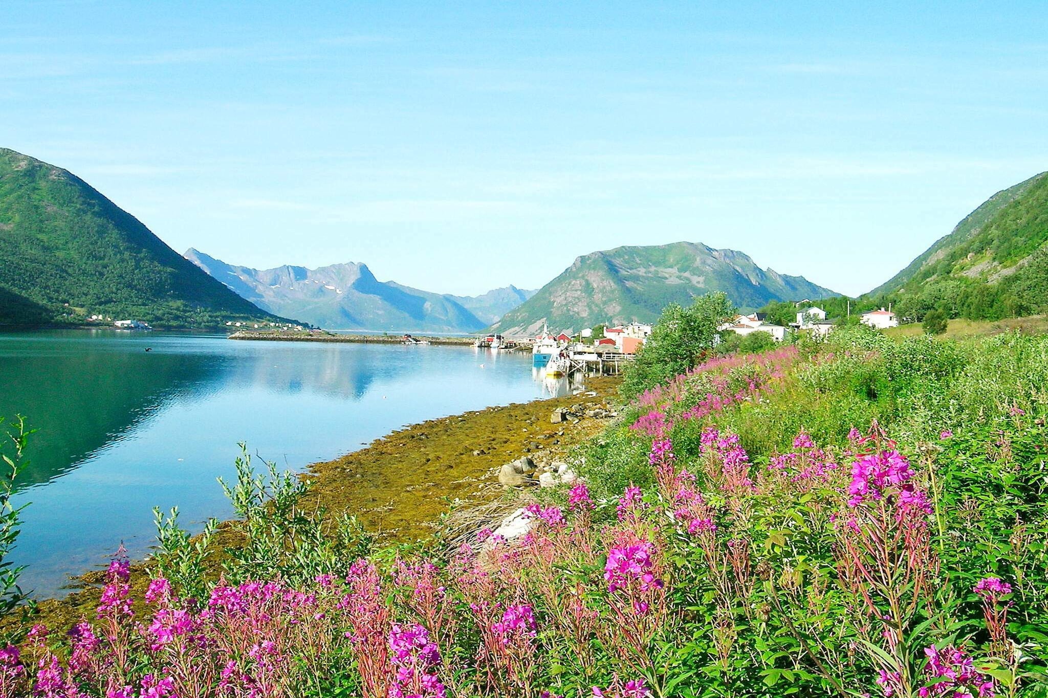 Sommerhus Kaldfarnes