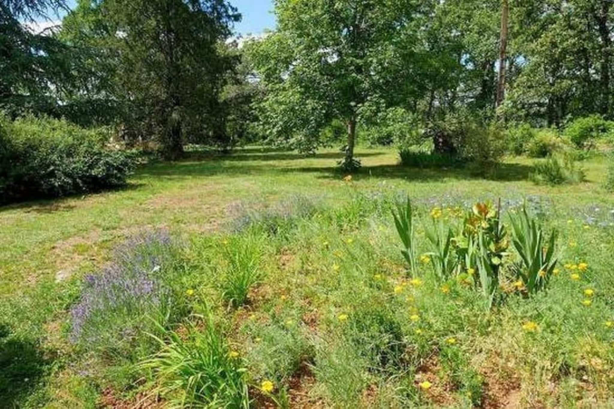 Jolie maison le Catalo-Tuinen zomer