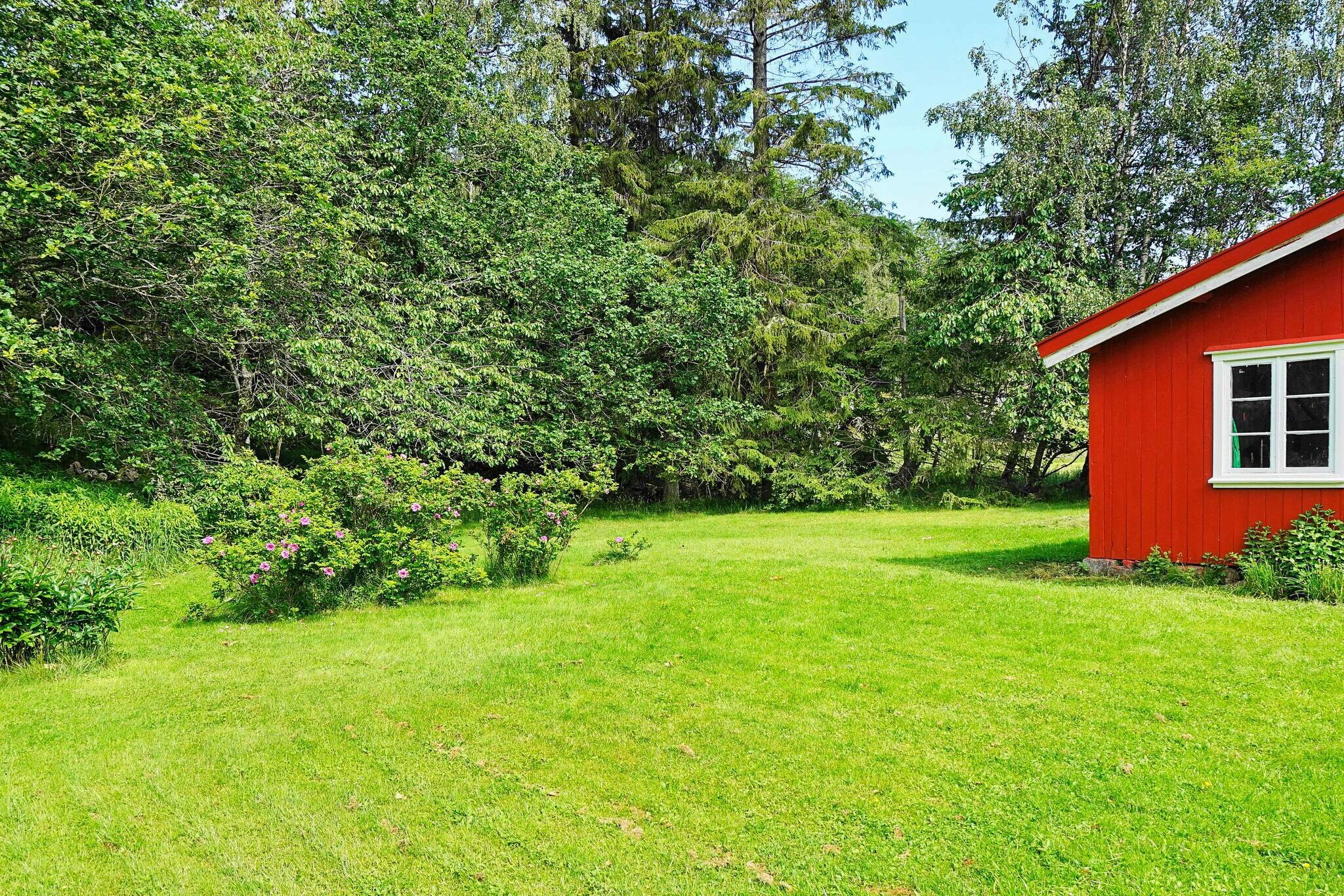 Kitchen(cooker(electric), coffee machine, microwave, fridge-freezer), Living/bed room(TV(swedish TV channels), DVD player), bedroom(2x single bed), bedroom(2x single bed), bathroom(washbasin, shower, toilet), heating(electric), garden, garden furniture, BBQ, parking, water from well