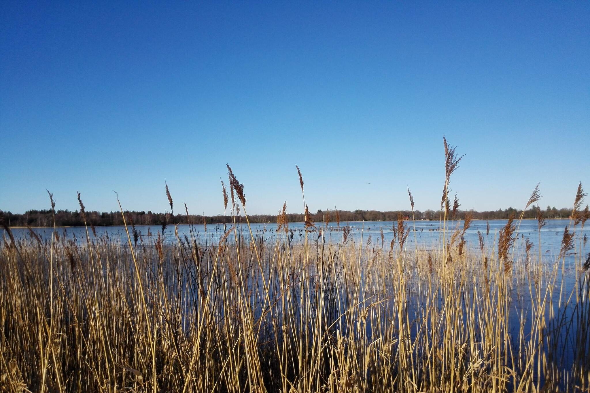 Ruhige Hutte in der Nahe des Kvie-Sees-By Traum-Wasserblick