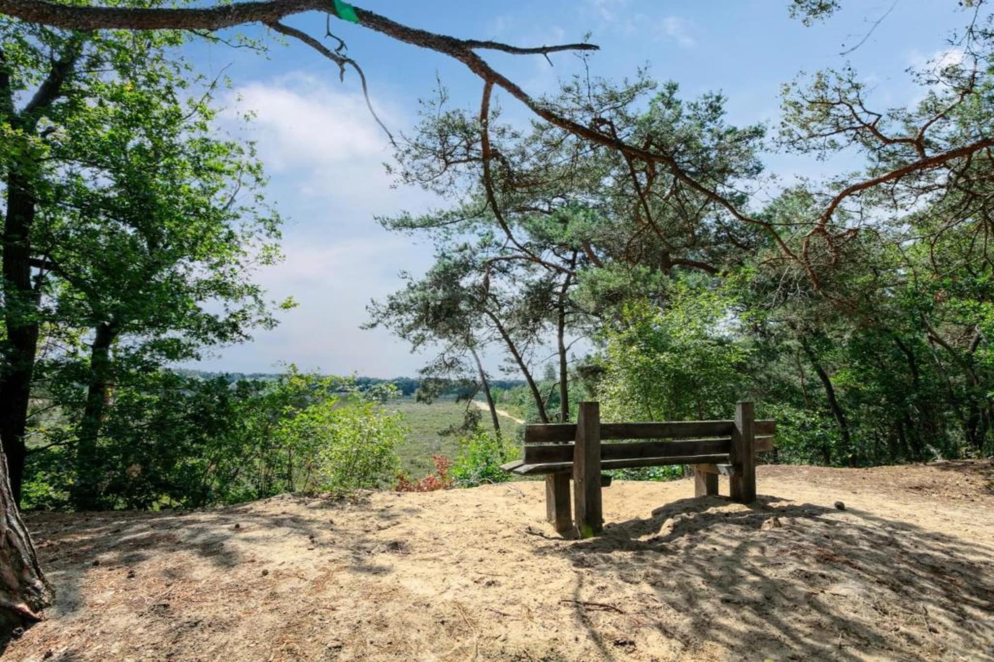 Vakantiepark Sandberghe 9-Gebieden zomer 20km