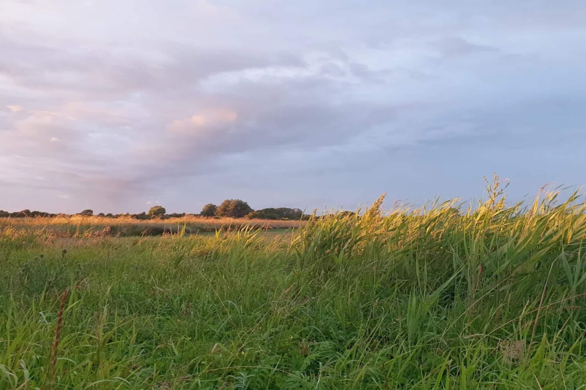 8 persoons vakantie huis in Sydals-Niet-getagd