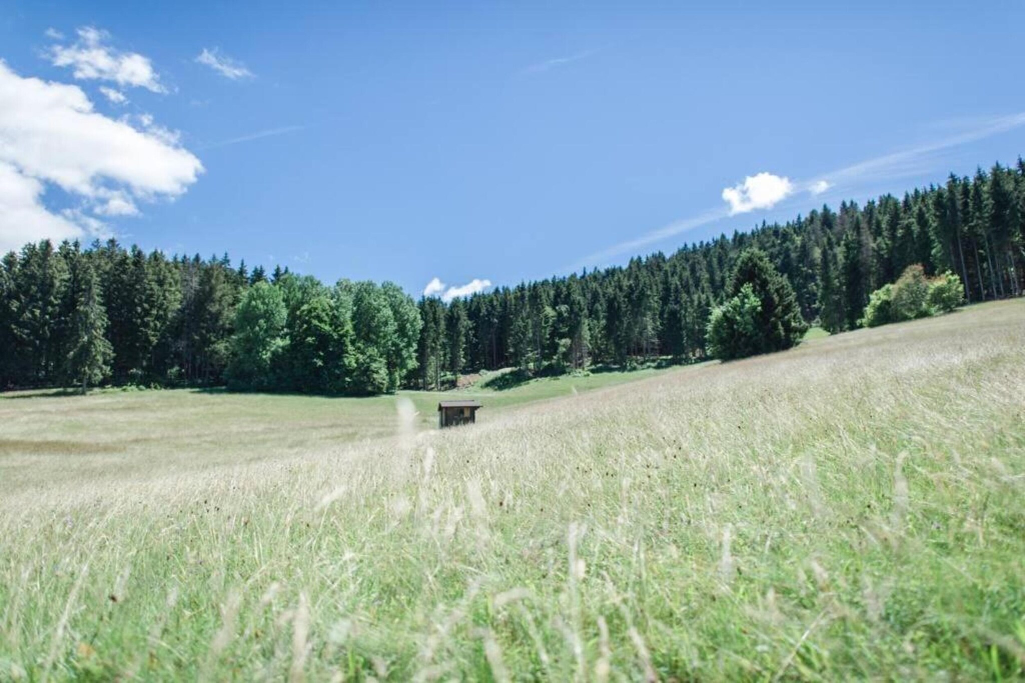 Im Hotzenwald-Gebieden zomer 20km