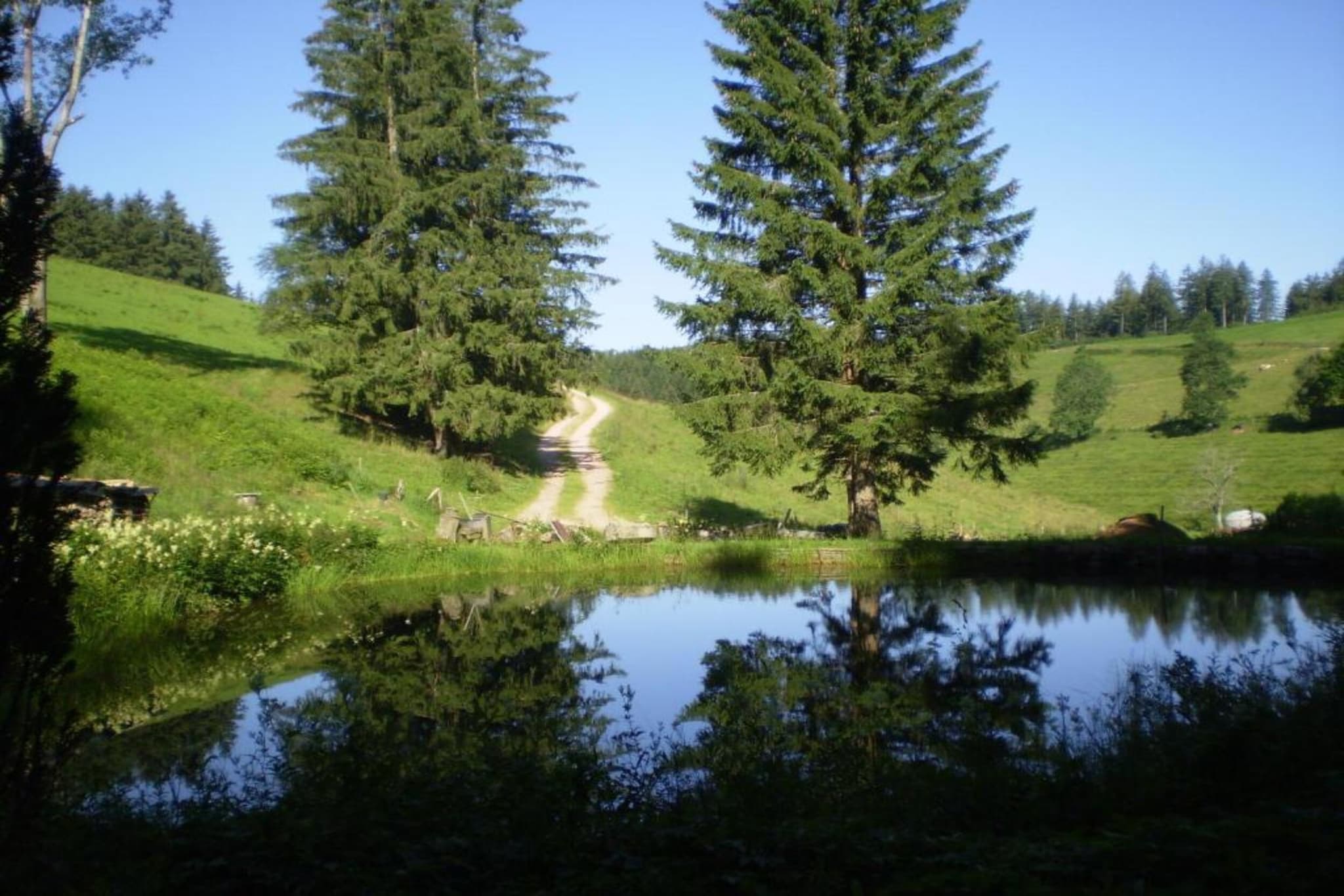 Im Hotzenwald-Gebieden zomer 20km