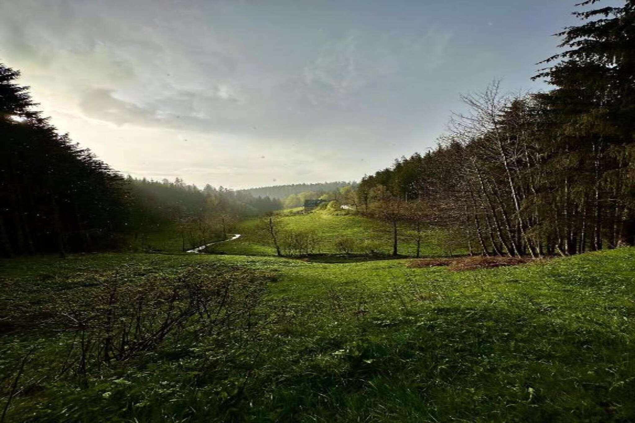 Im Hotzenwald-Gebieden zomer 20km