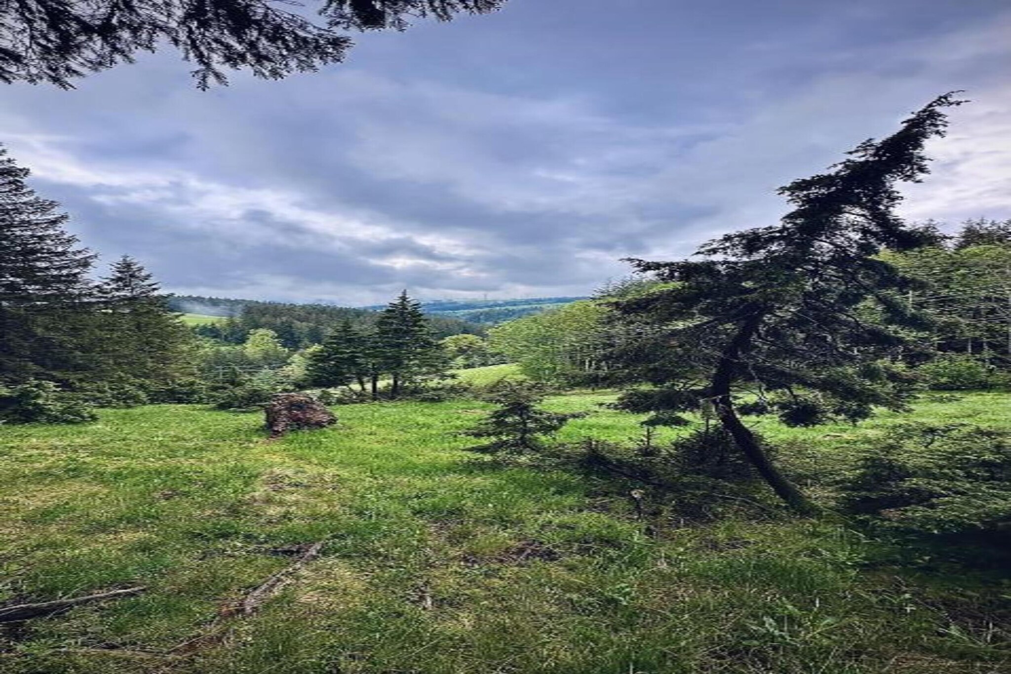 Im Hotzenwald-Gebieden zomer 20km